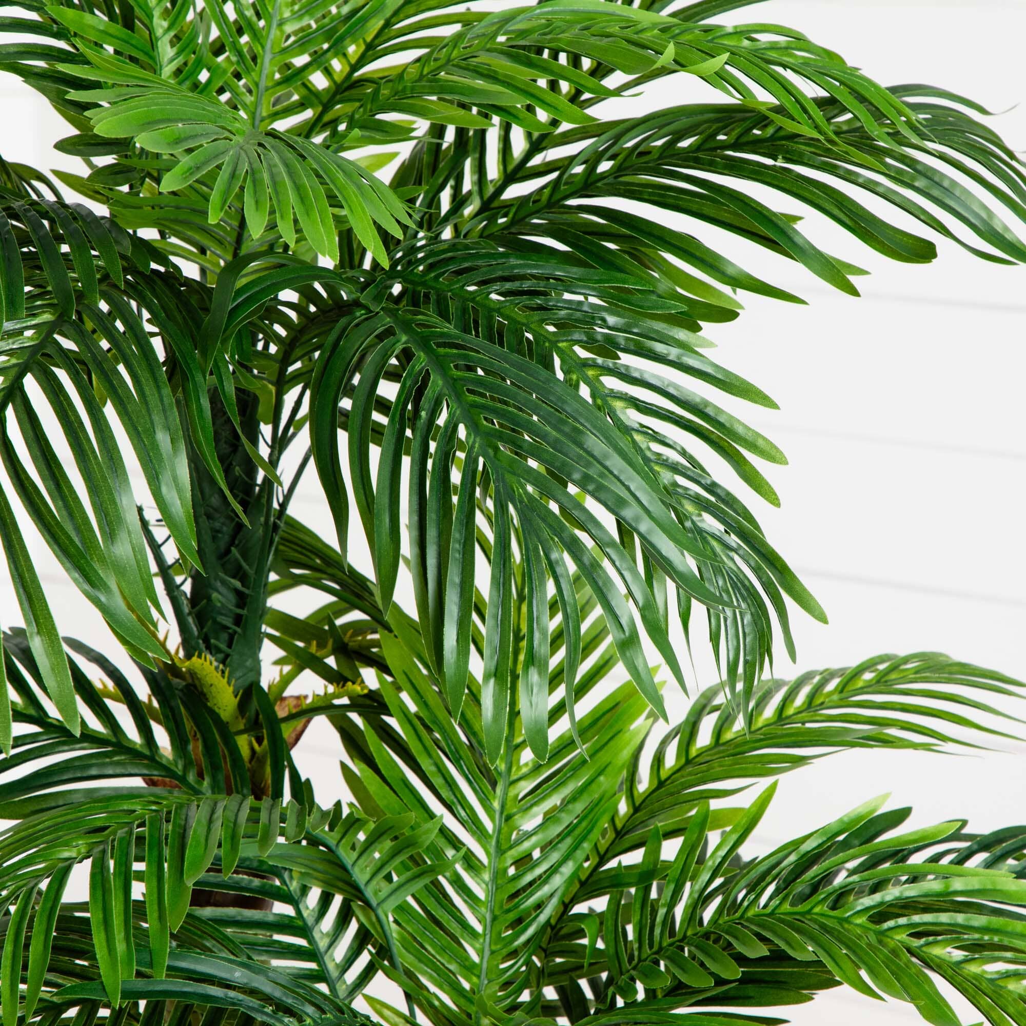 5’ Triple Phoenix Palm Artificial Tree - Image 2