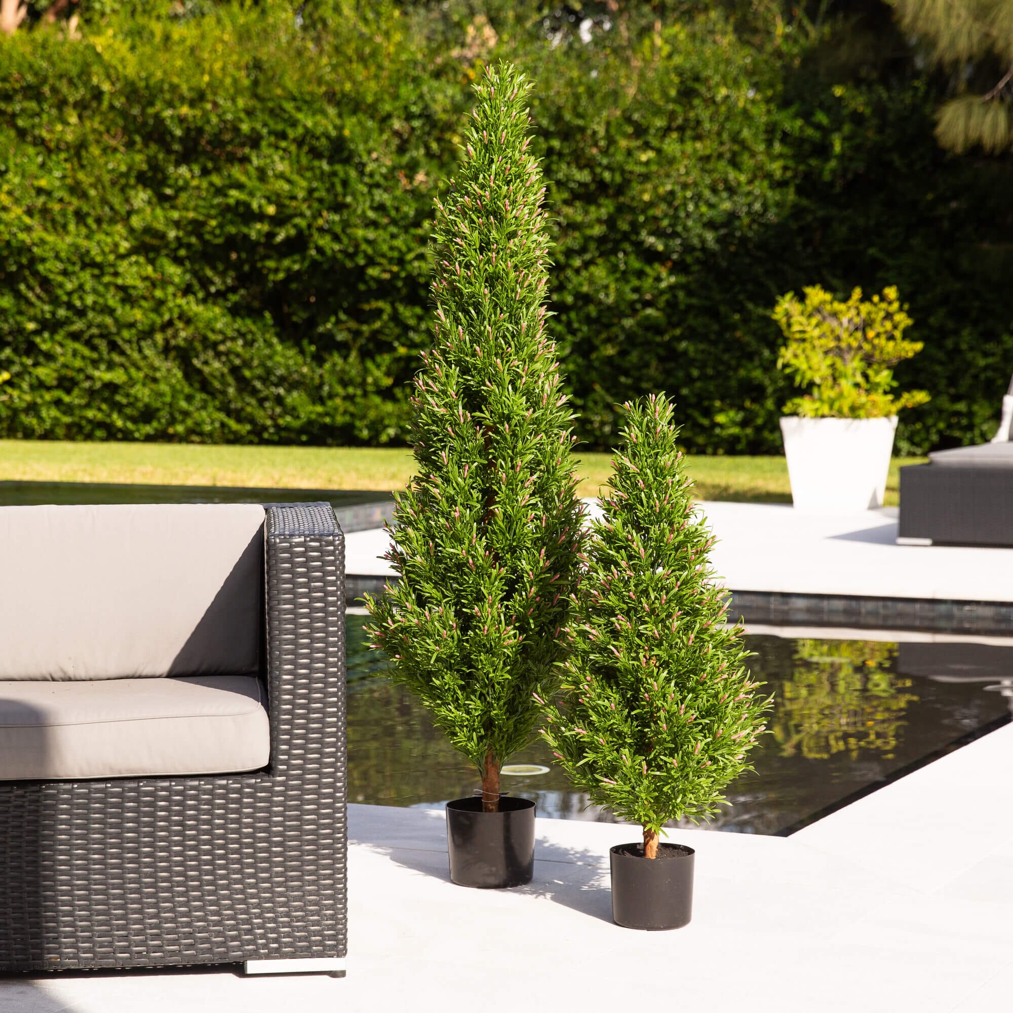 5' UV Resistant Artificial Rosemary Cone Topiary Tree (Indoor/Outdoor) - Image 4