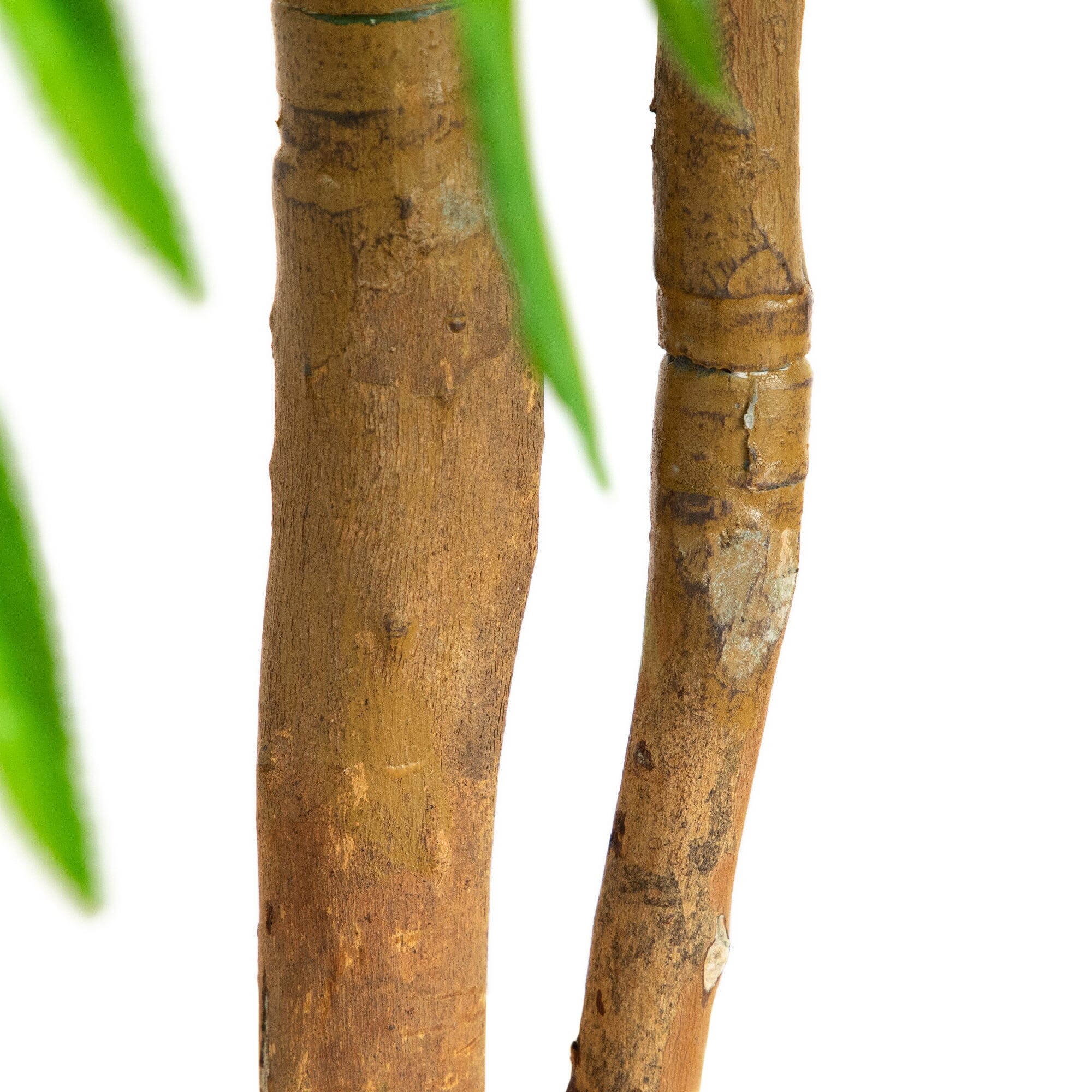 5’ Willow Artificial Tree  (Real Touch) - Image 4