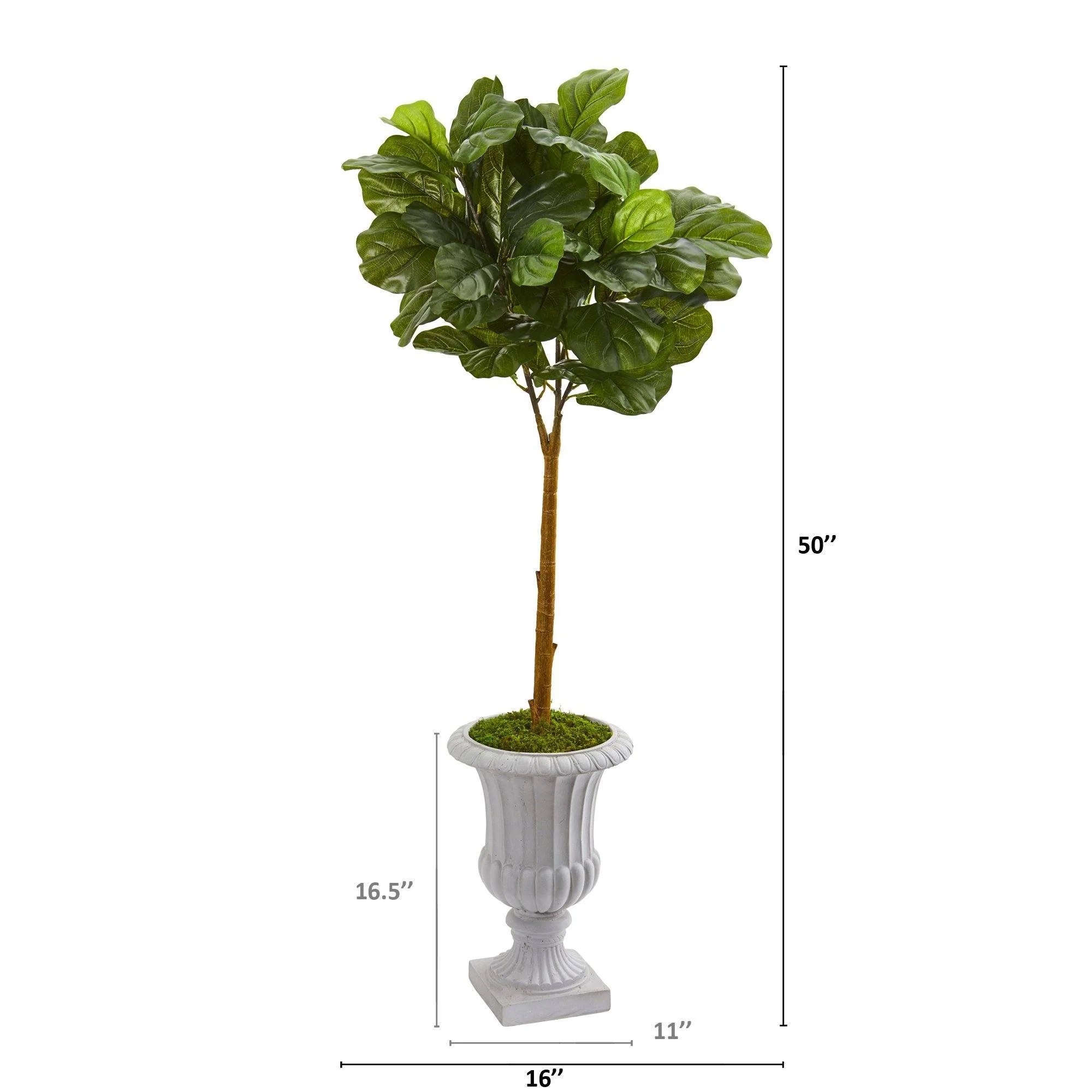 50” Fiddle Leaf Artificial Tree in Decorative Urn (Real Touch) - Image 2