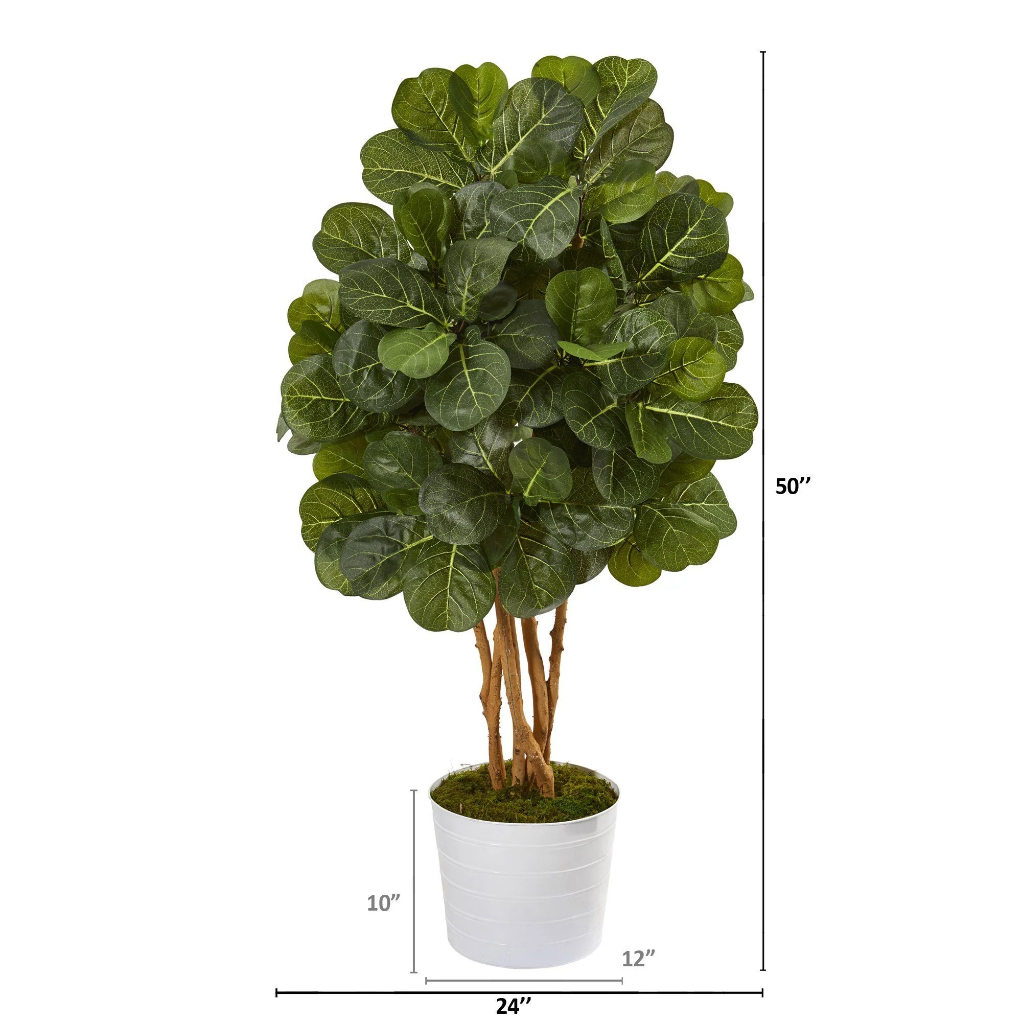 50” Fiddle Leaf Fig Artificial Tree in White Tin Planter - Image 2