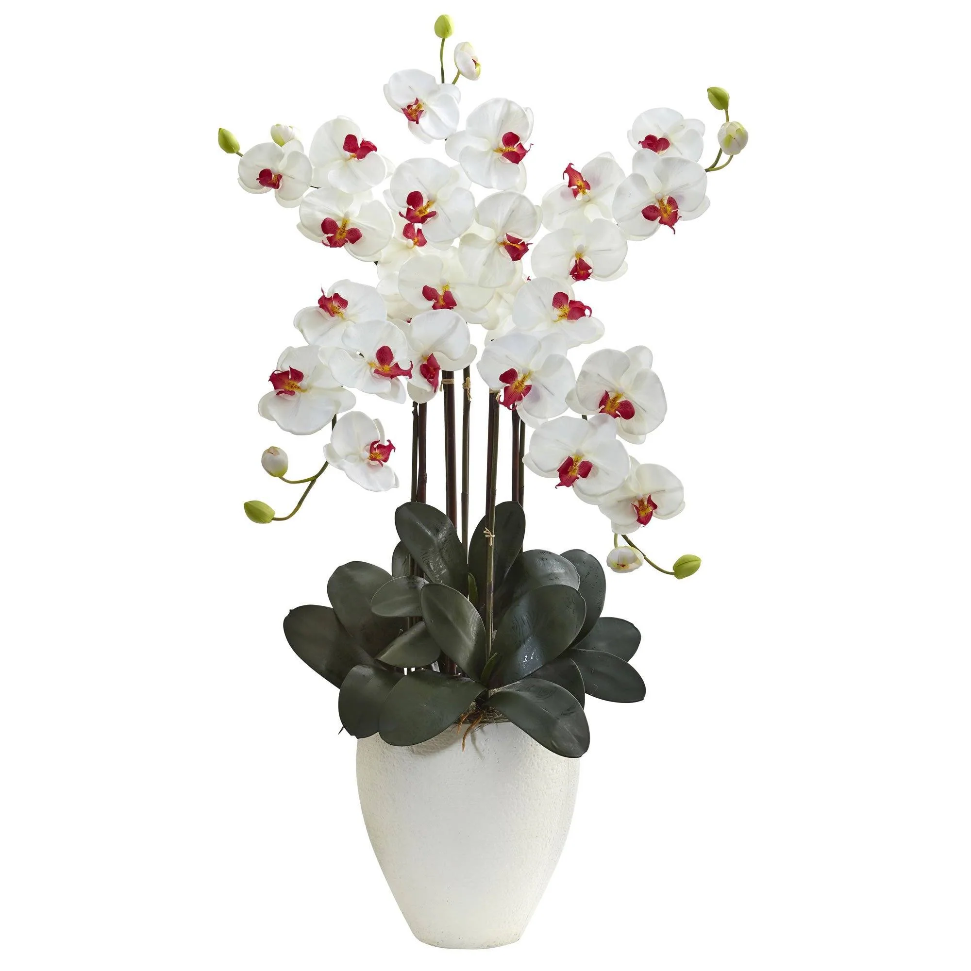 50” Giant Phalaenopsis Orchid Arrangement - Image 2