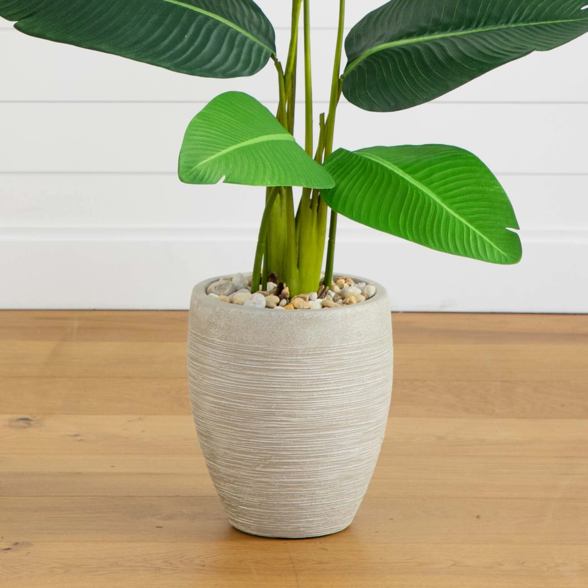 50” Travelers Palm Artificial Tree in Sand Colored Planter - Image 3