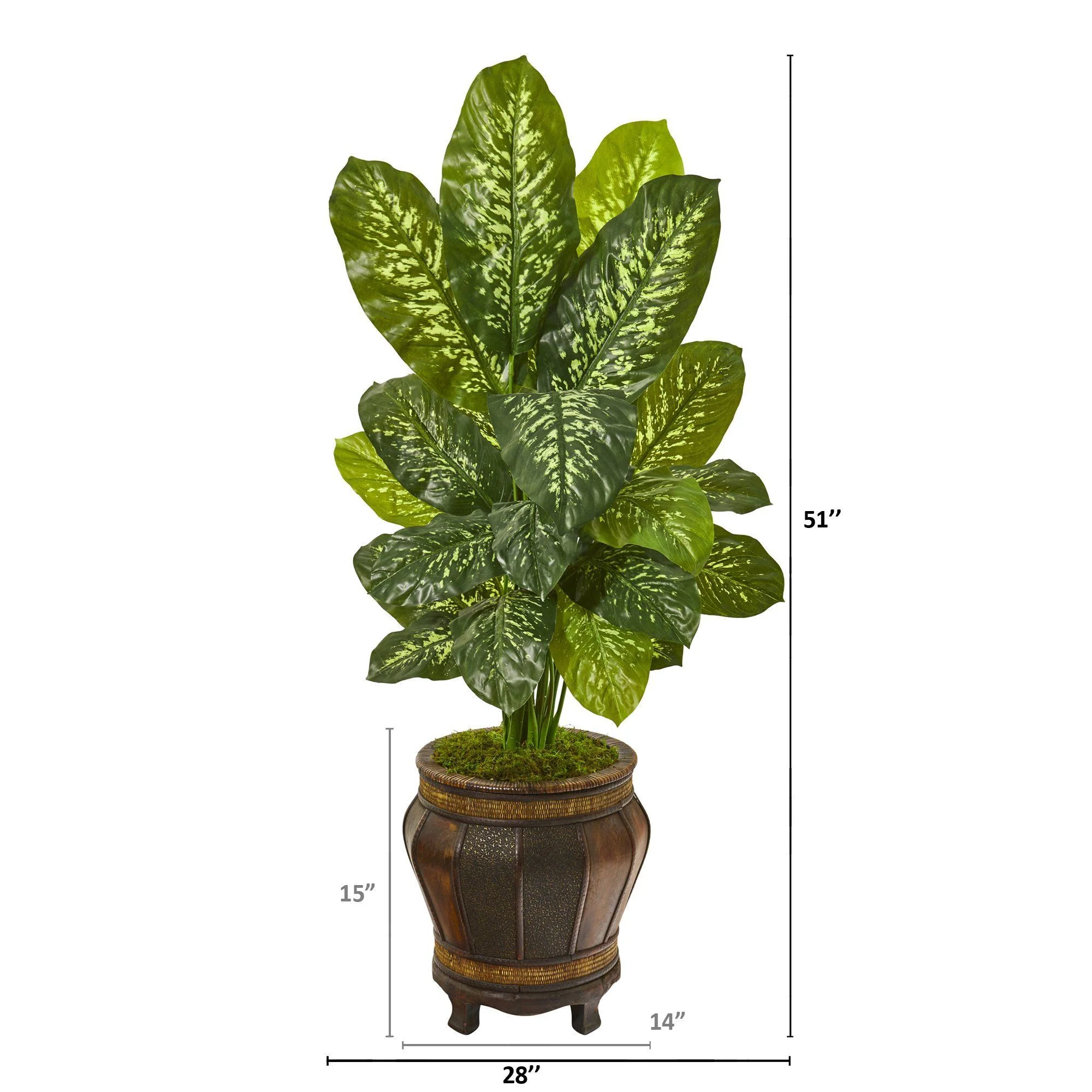 51” Dieffenbachia Artificial Plant in Planter (Real Touch) - Image 2