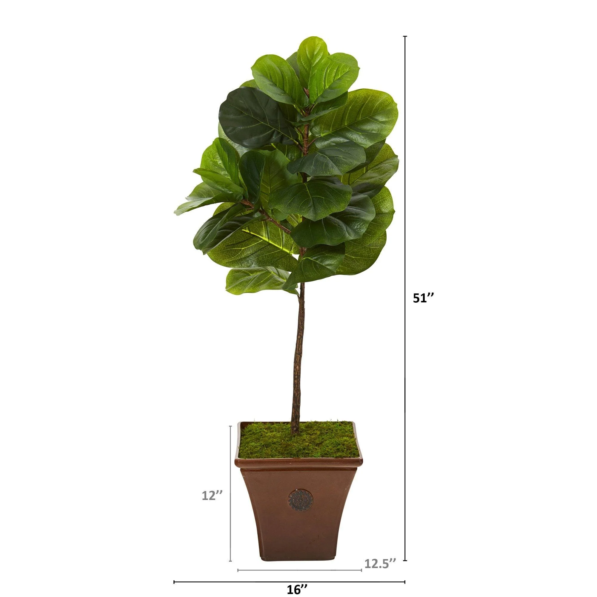 51” Fiddle Leaf Artificial Tree in Brown Planter (Real Touch) - Image 2
