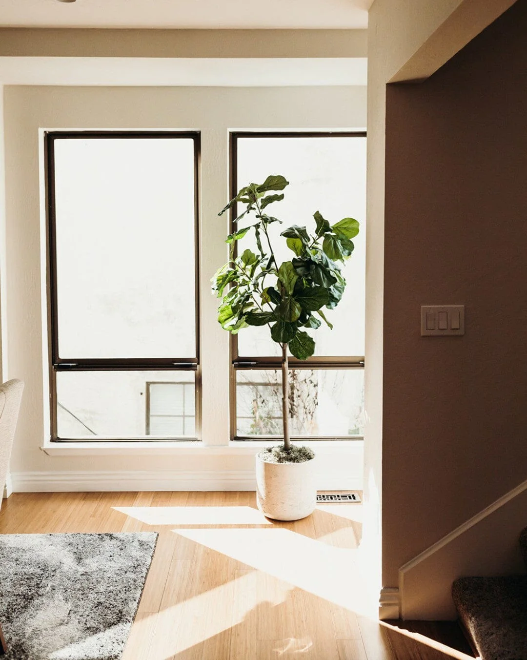 52” Fiddle Leaf Artificial Tree - Image 2