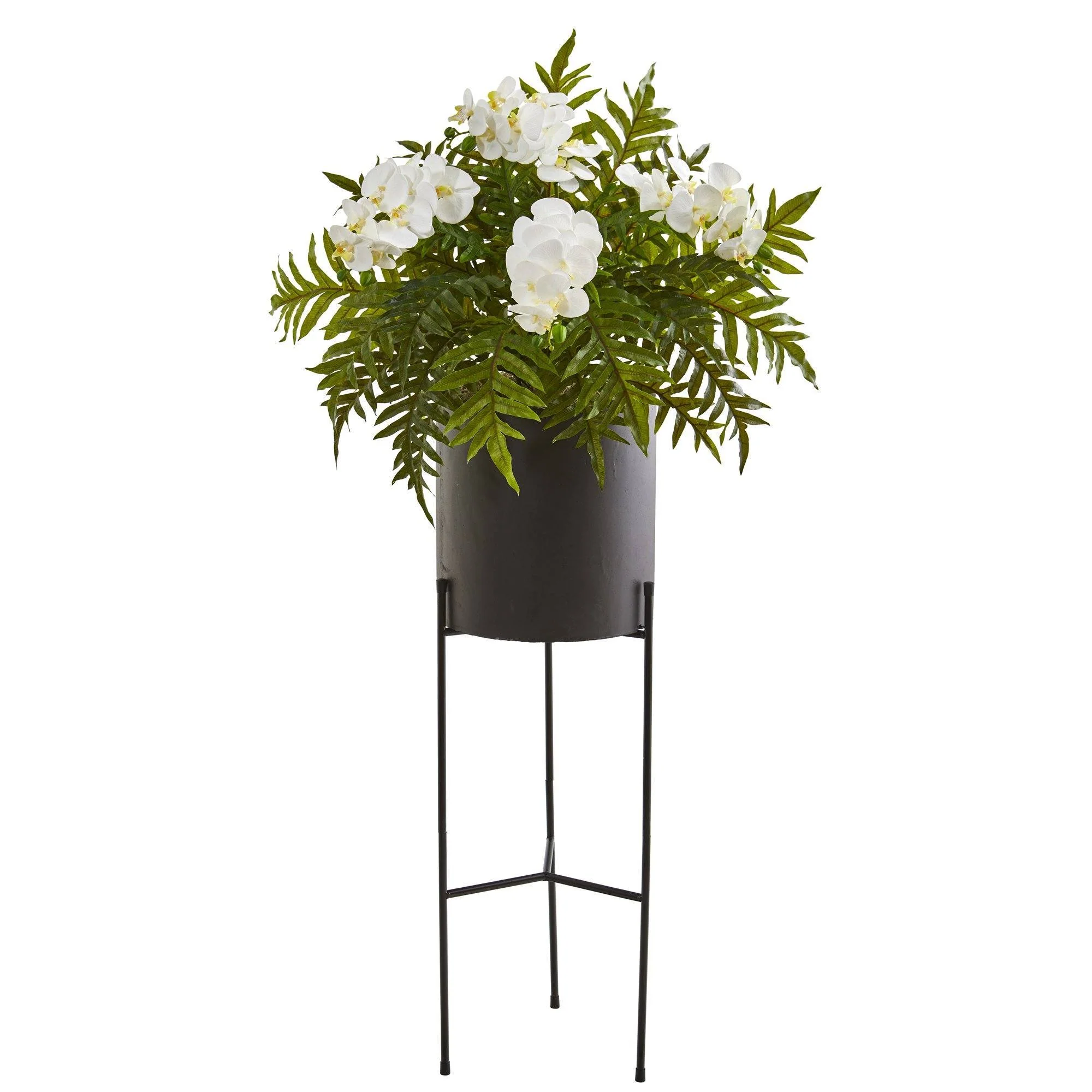 52” Phalaenopsis Orchid and Fern Plant in Black Planter - Image 2