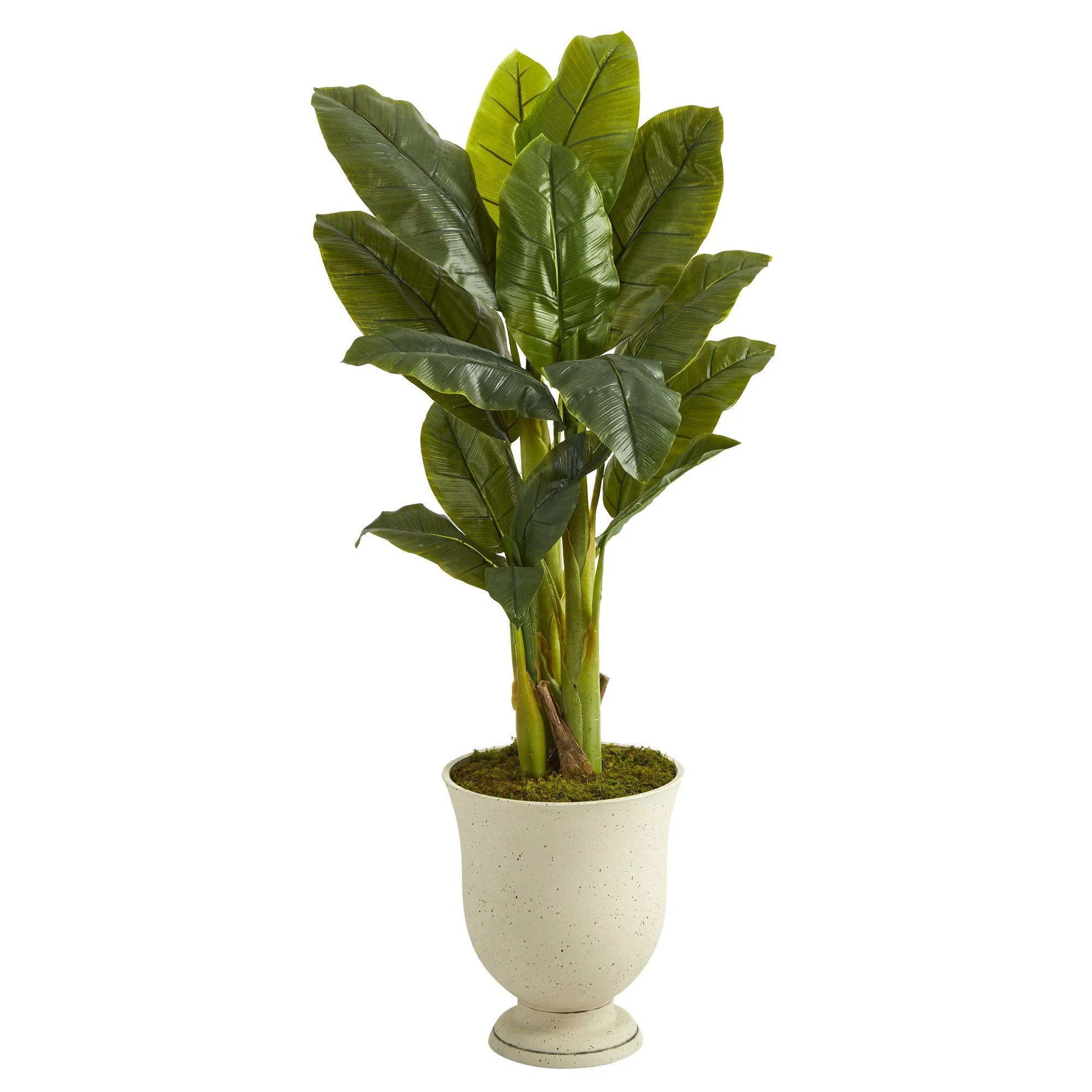 52” Triple Stalk Banana Artificial Tree in Decorative Urn (Real Touch)