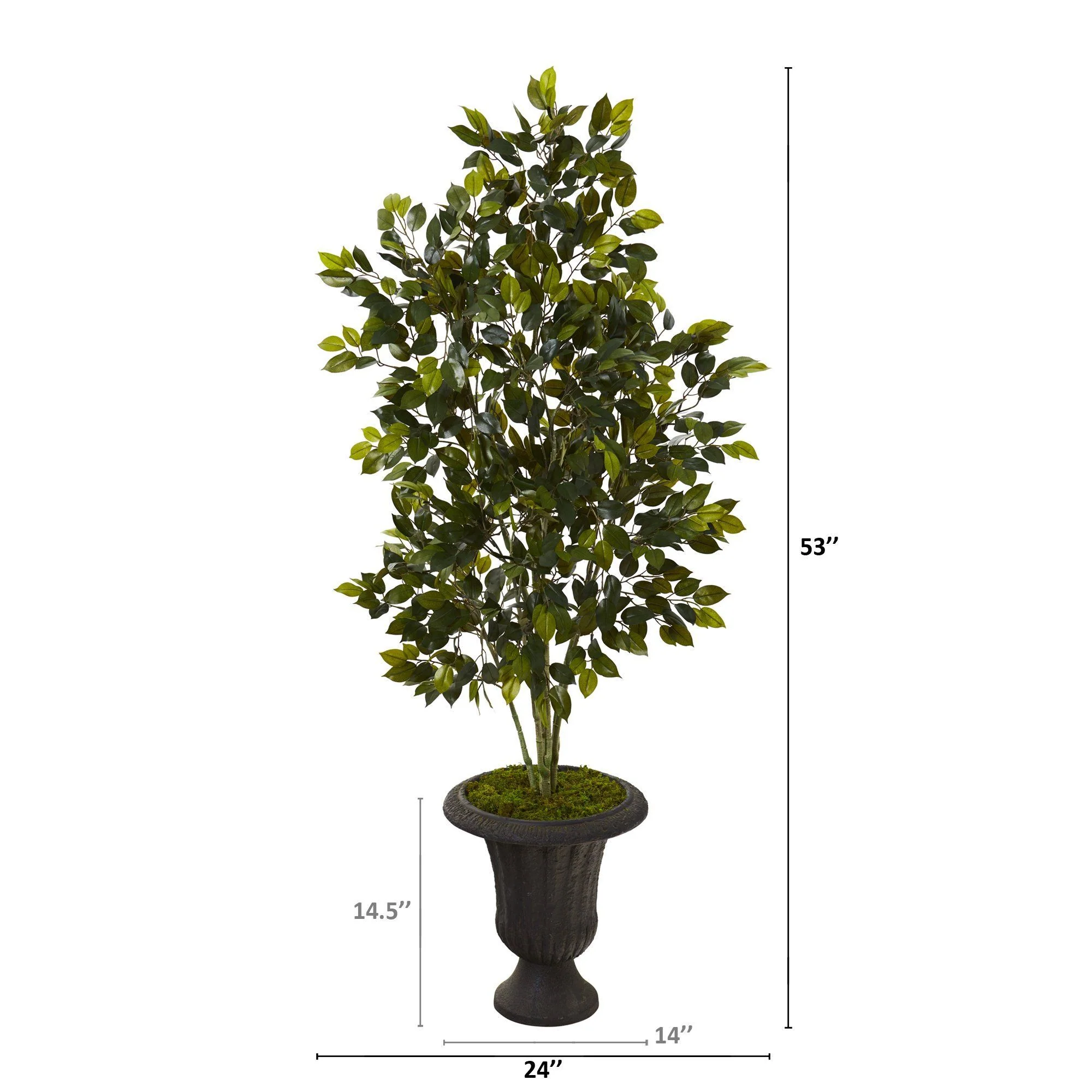 53” Ficus Artificial Tree in Charcoal Urn - Image 2