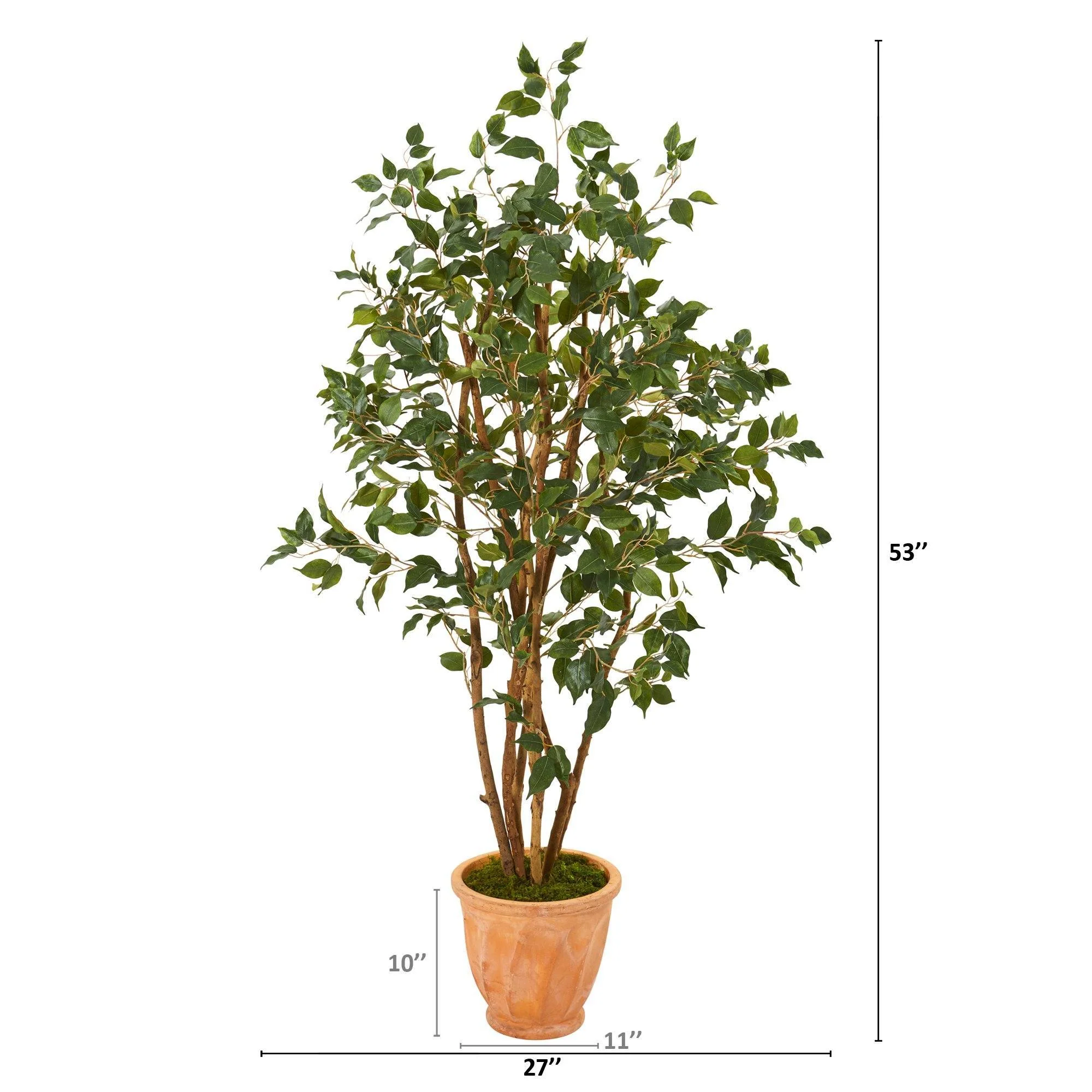 53” Ficus Artificial Tree in Terra-Cotta Planter - Image 2