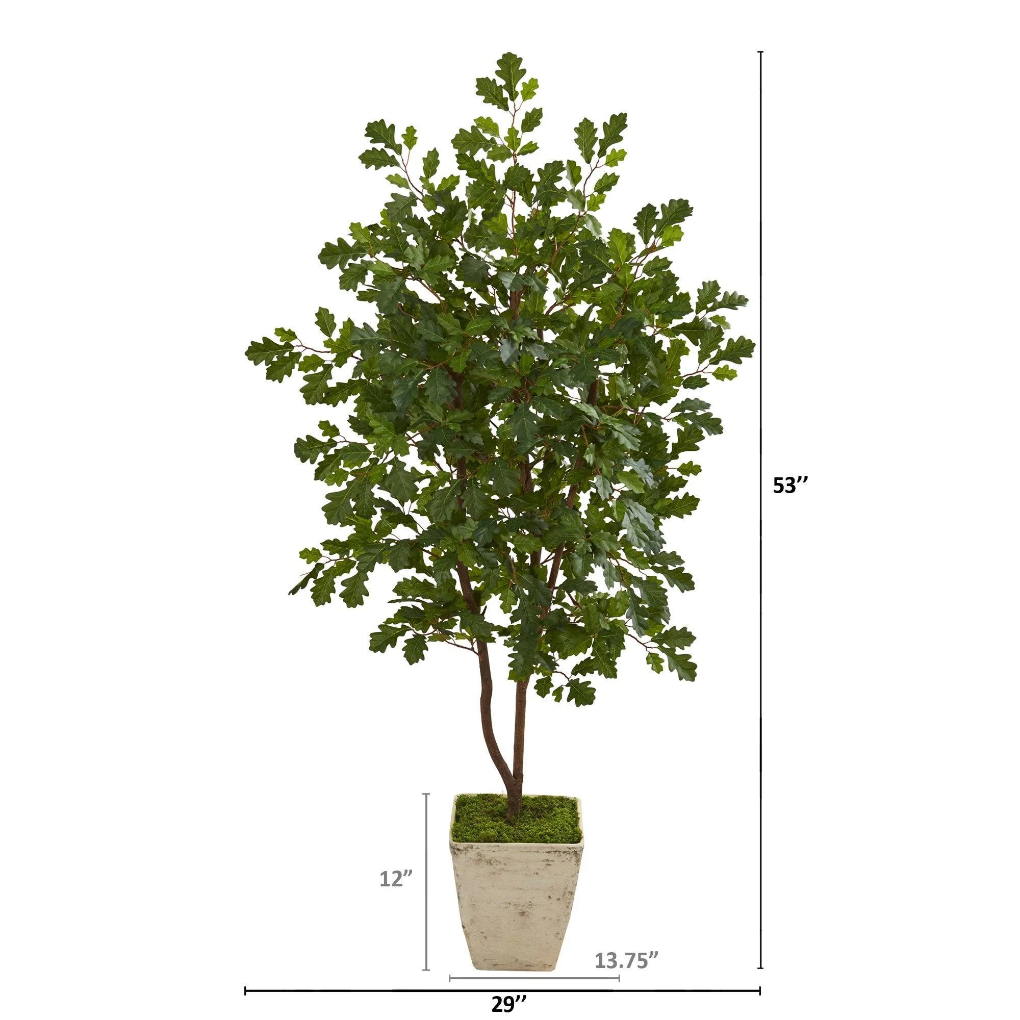 53” Oak Artificial Tree in Country White Planter - Image 2