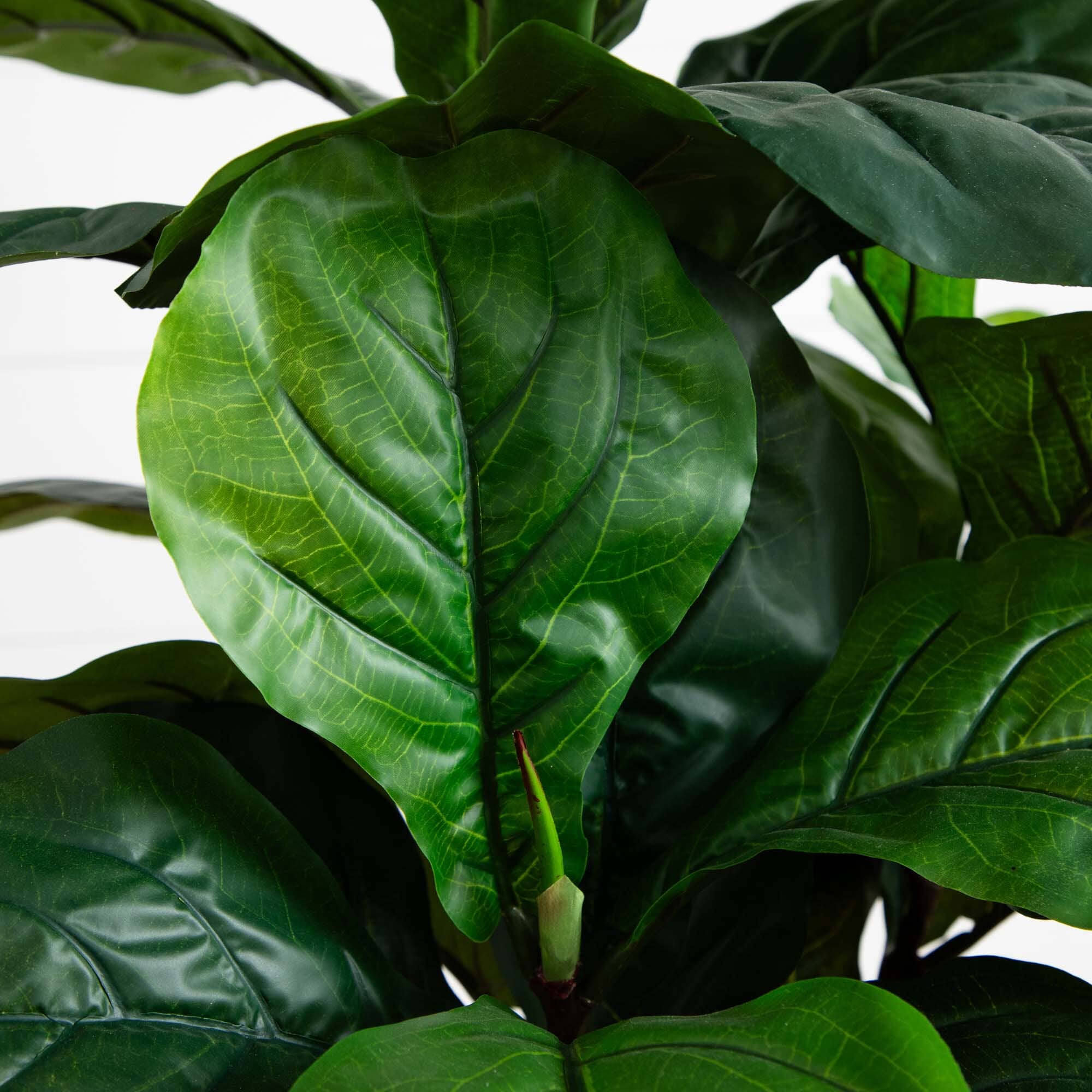 54” Fiddle Leaf Artificial Tree (Real Touch) - Image 2