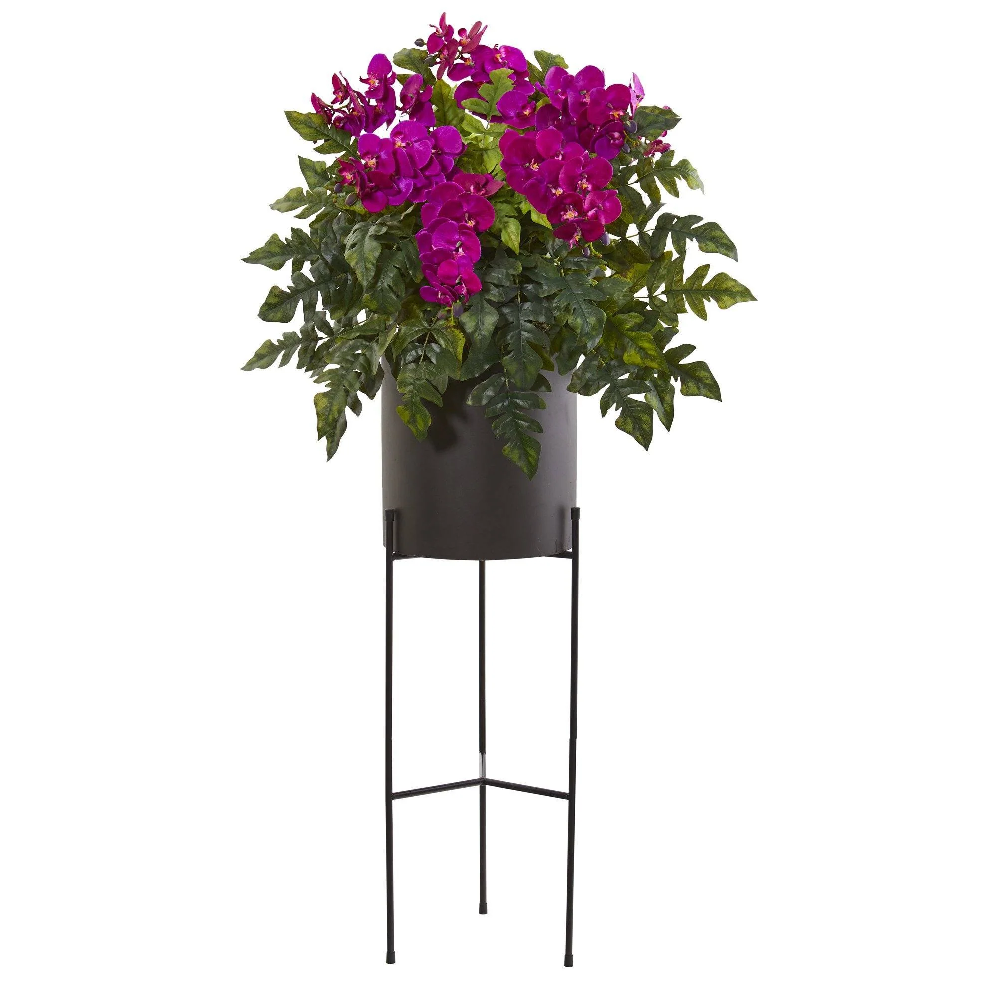 55” Phalaenopsis Orchid, Holly Fern Plant in Black Planter - Image 4