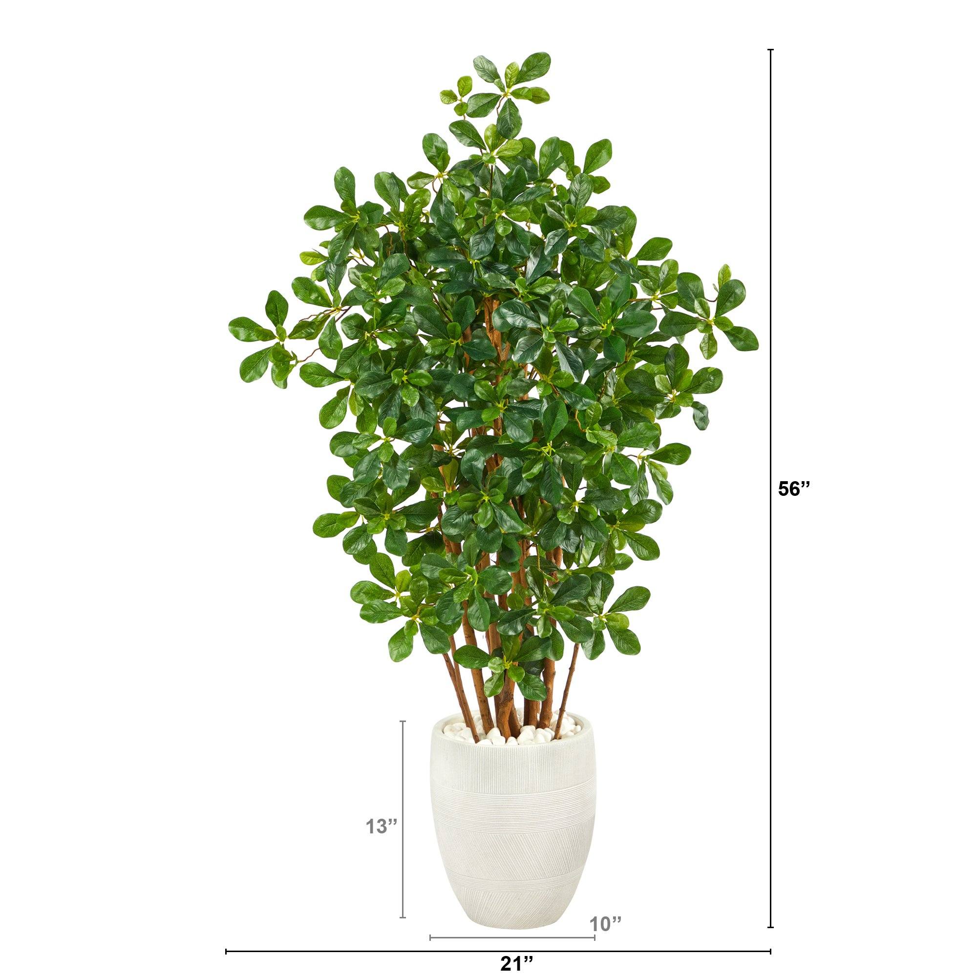 56” Black Olive Artificial Tree in White Planter - Image 2