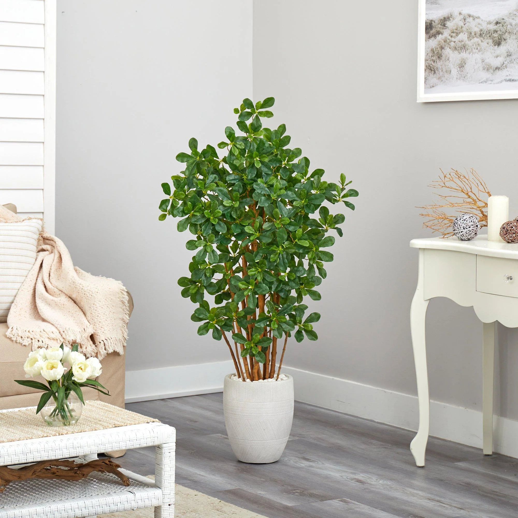 56” Black Olive Artificial Tree in White Planter - Image 3