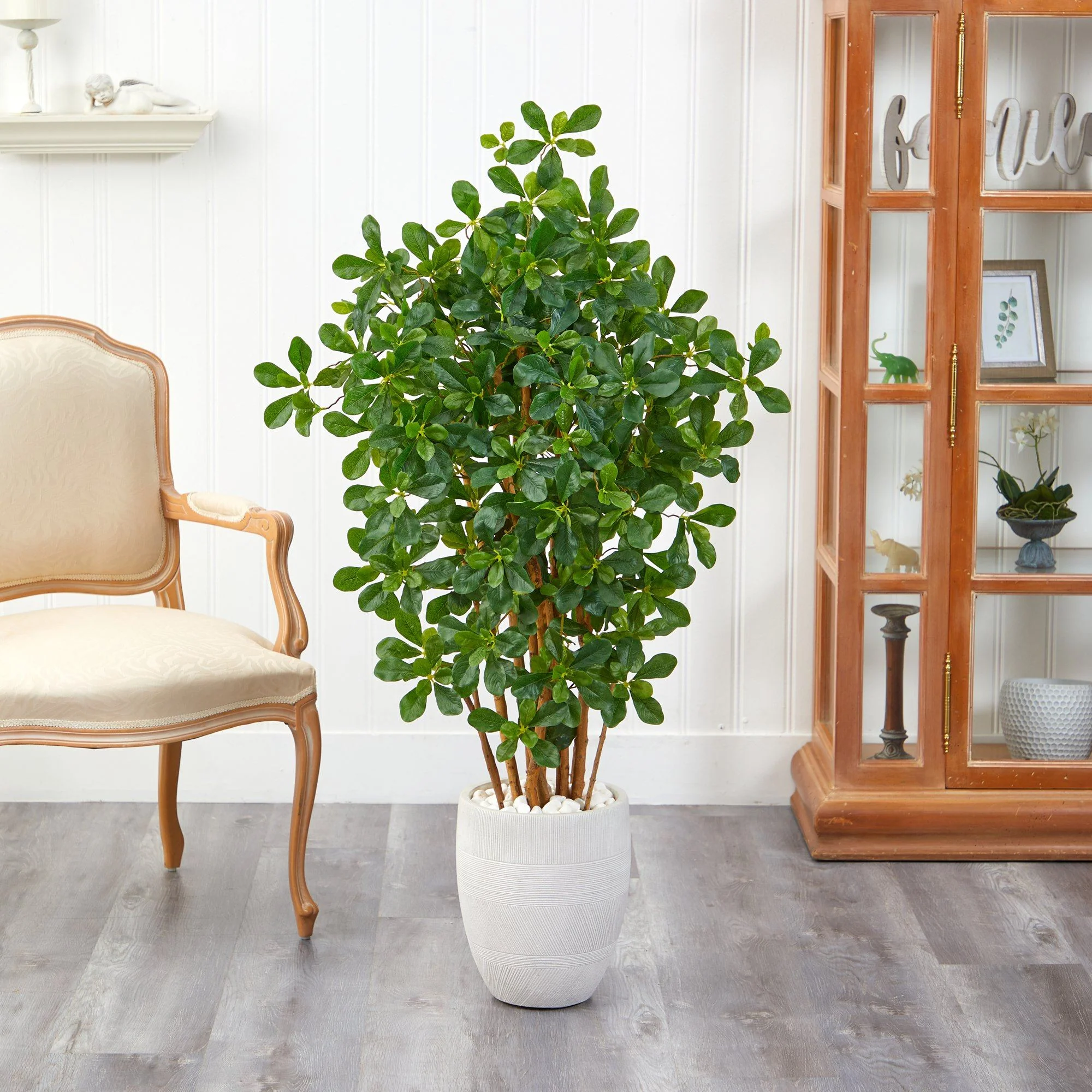 56” Black Olive Artificial Tree in White Planter - Image 4