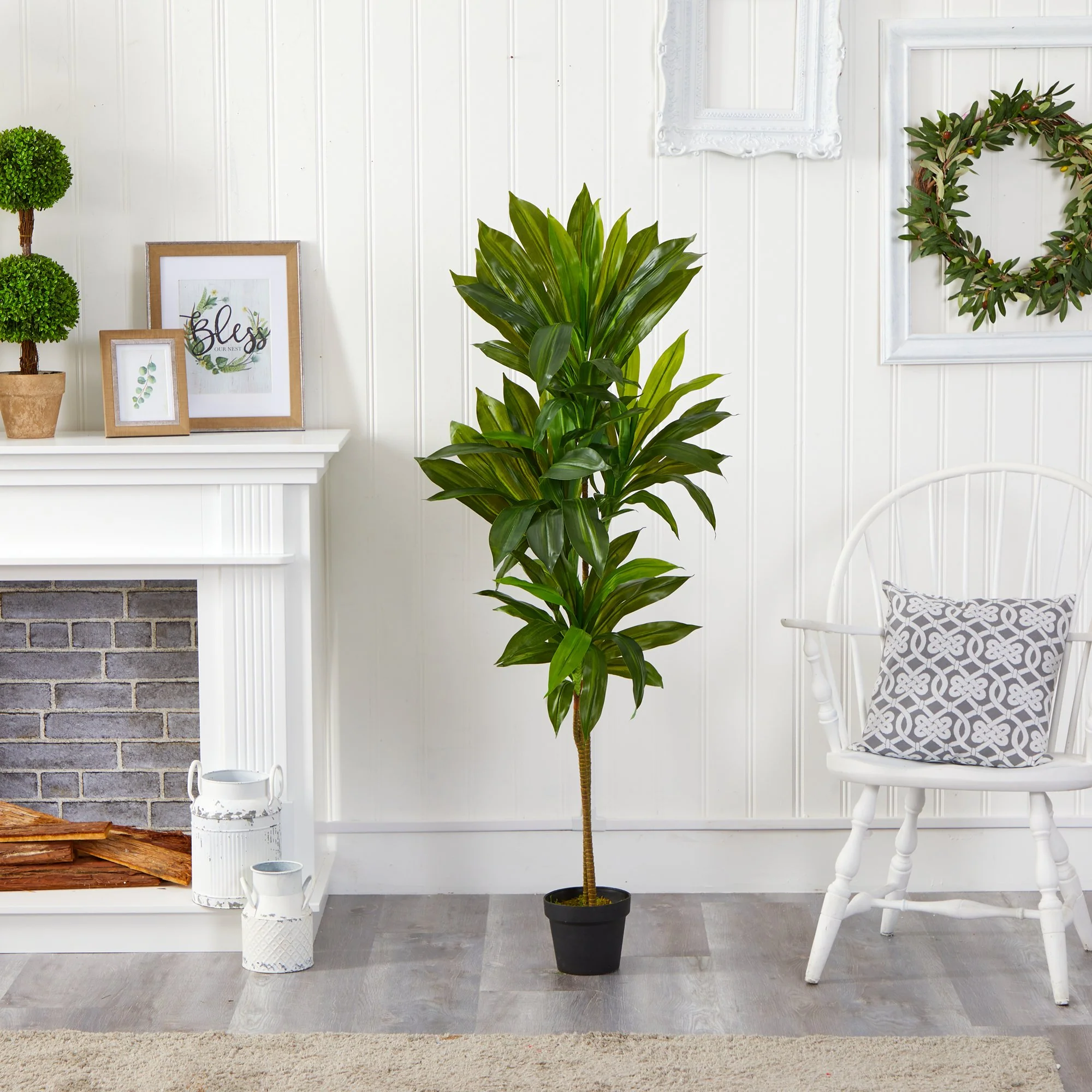 56” Dracaena Artificial Plant (Real Touch) - Image 4