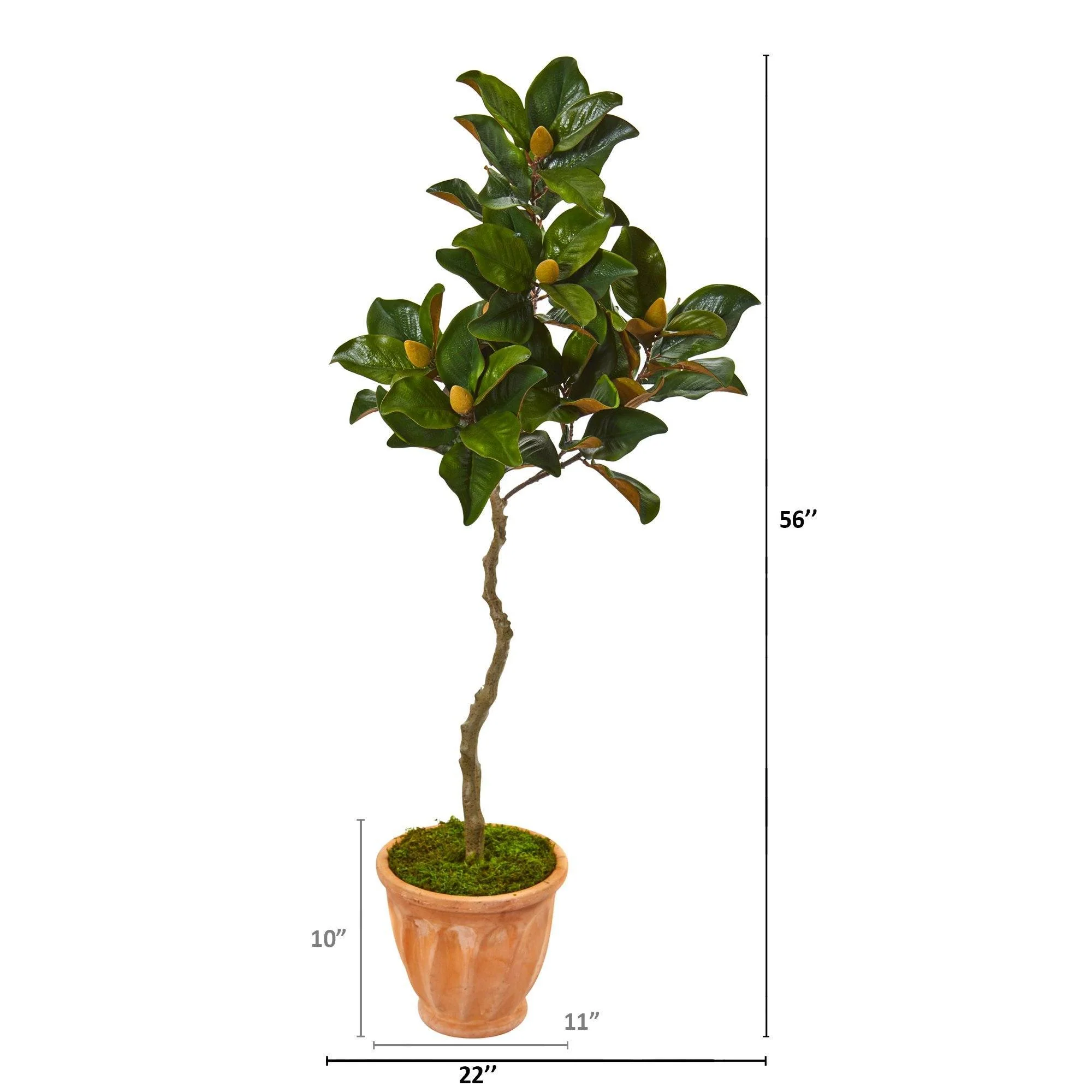56” Magnolia Artificial Tree in Orange Planter - Image 2
