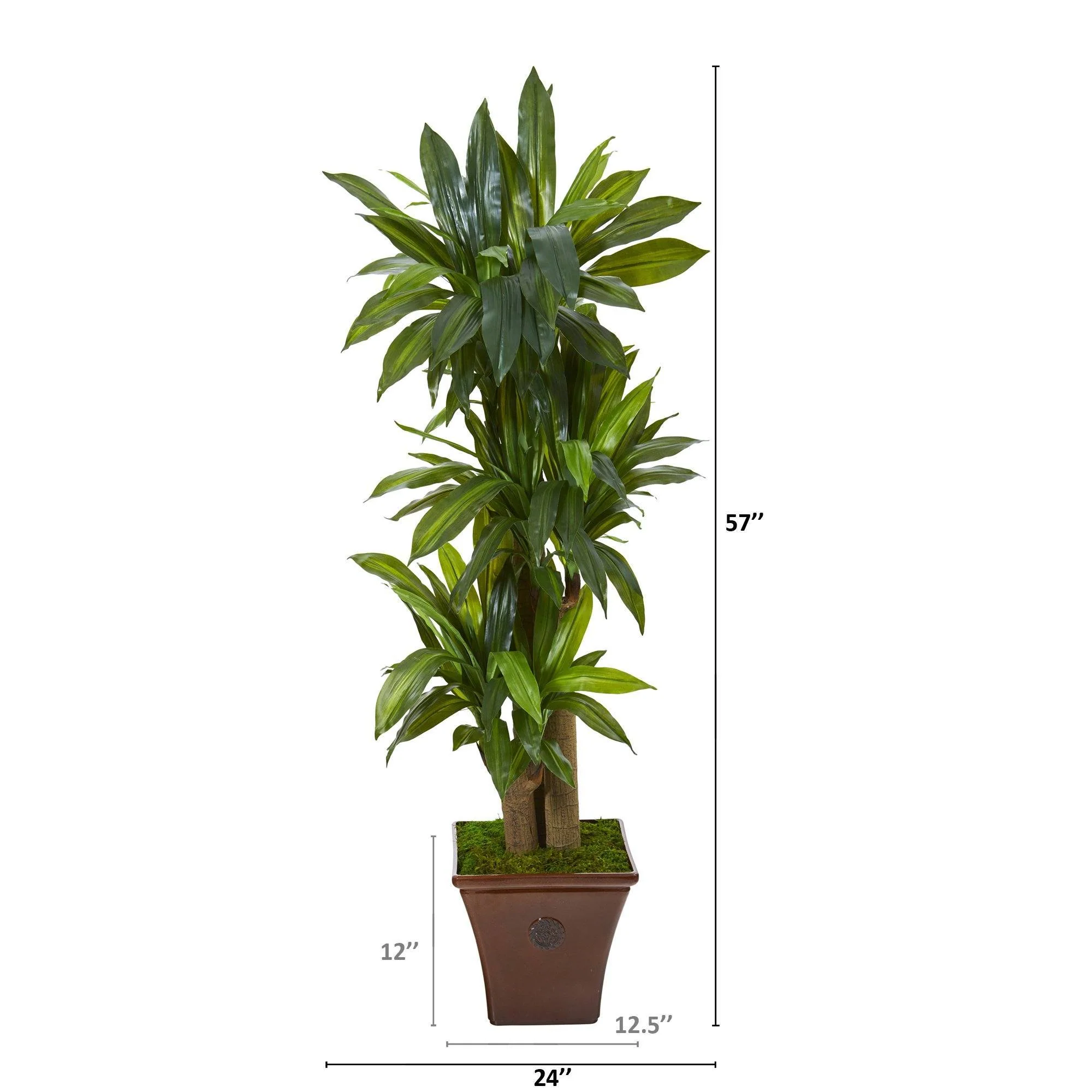 57” Corn Stalk Dracaena Artificial Plant in Brown Planter (Real Touch) - Image 2