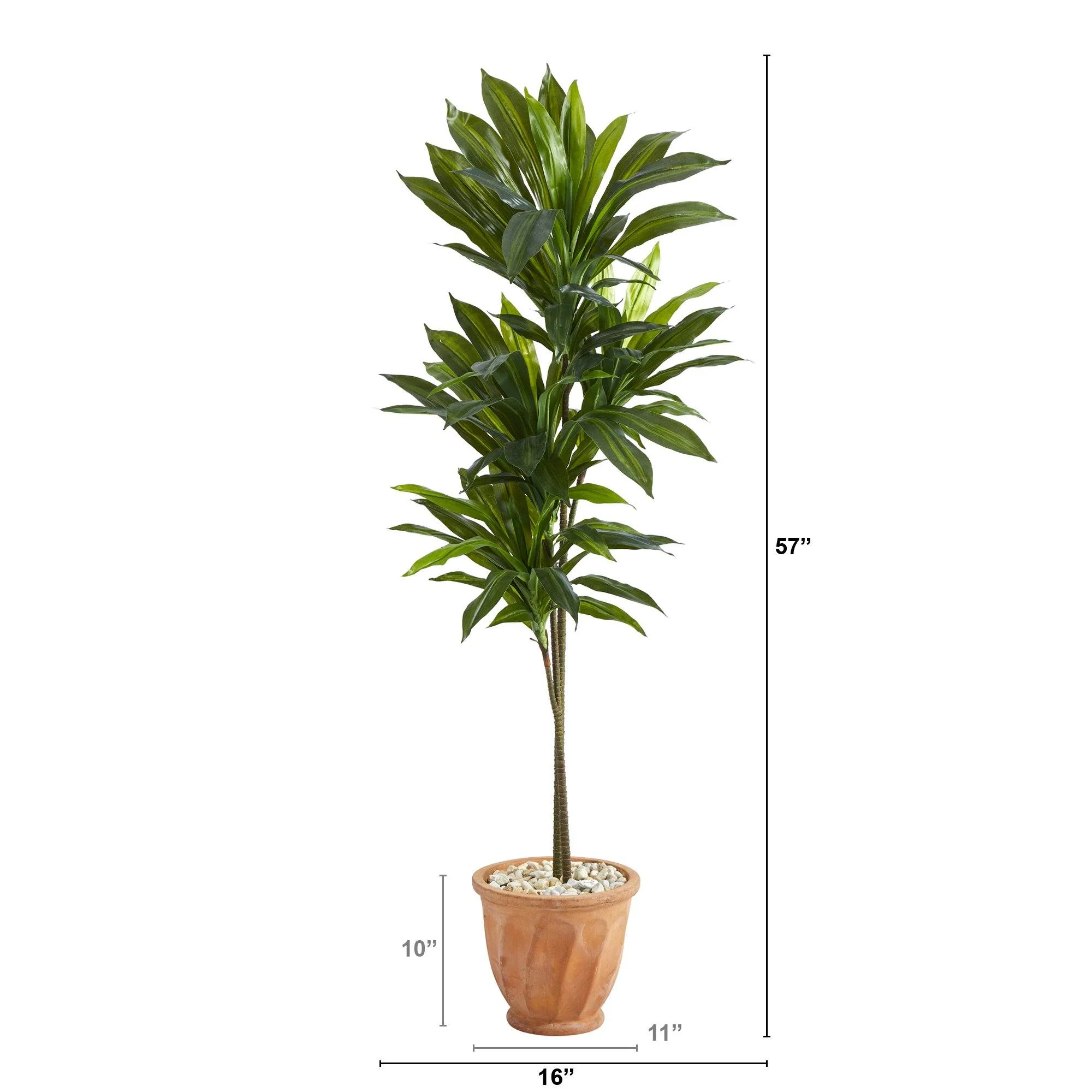 57” Dracaena Artificial Plant in Terra-Cotta Planter (Real Touch) - Image 2