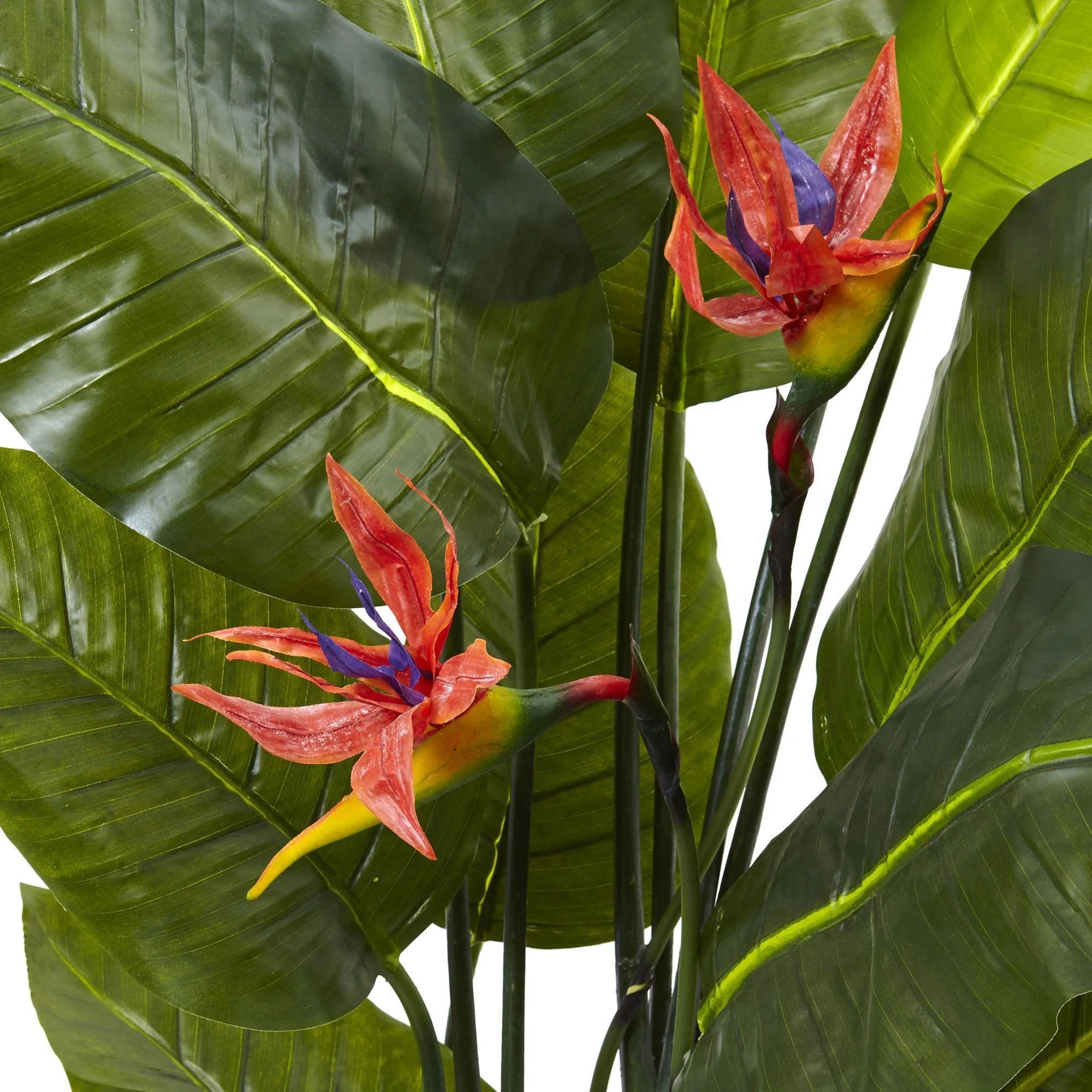 58" Bird of Paradise Plant (Real Touch) - Image 2