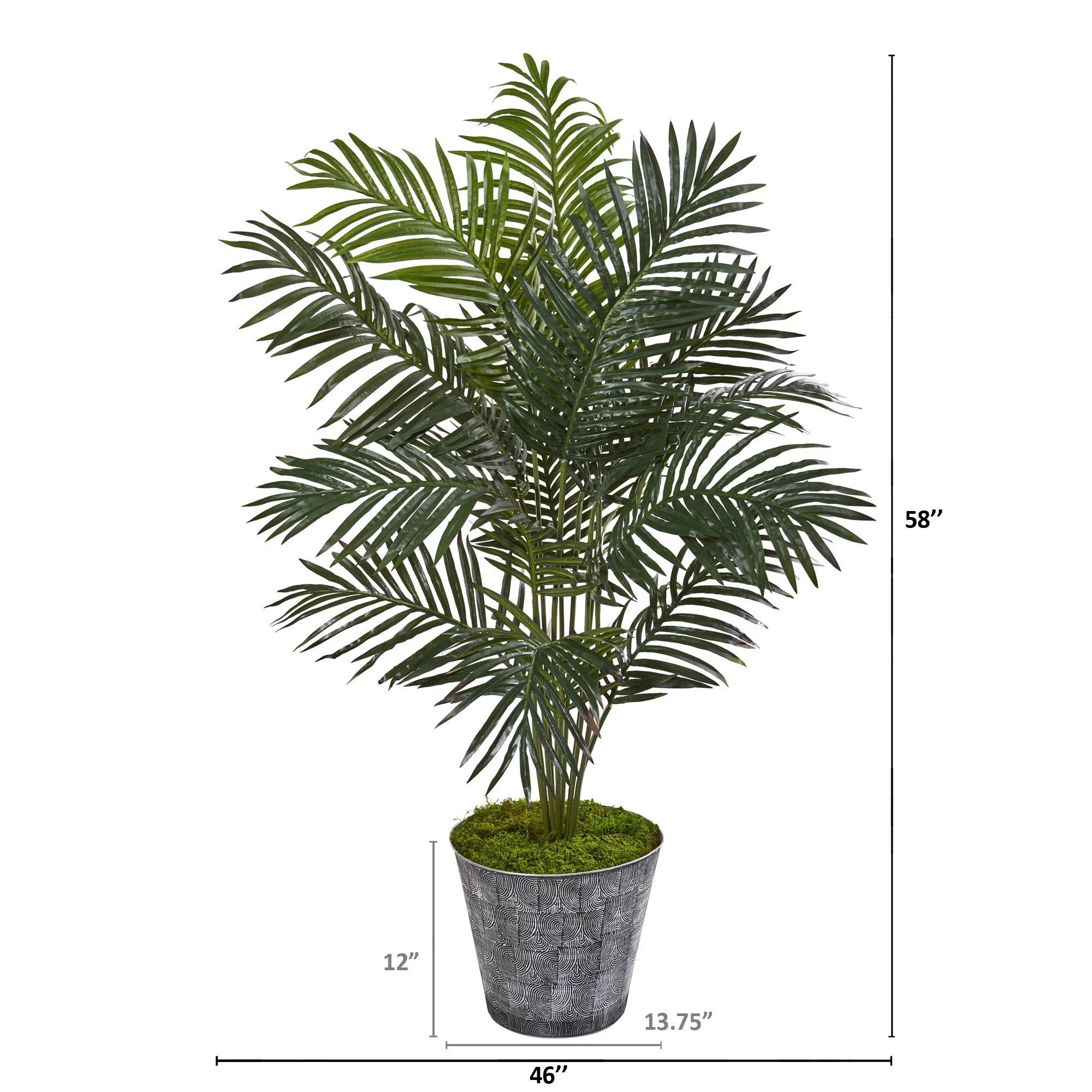58” Paradise Palm Artificial Tree in Decorative Planter - Image 2