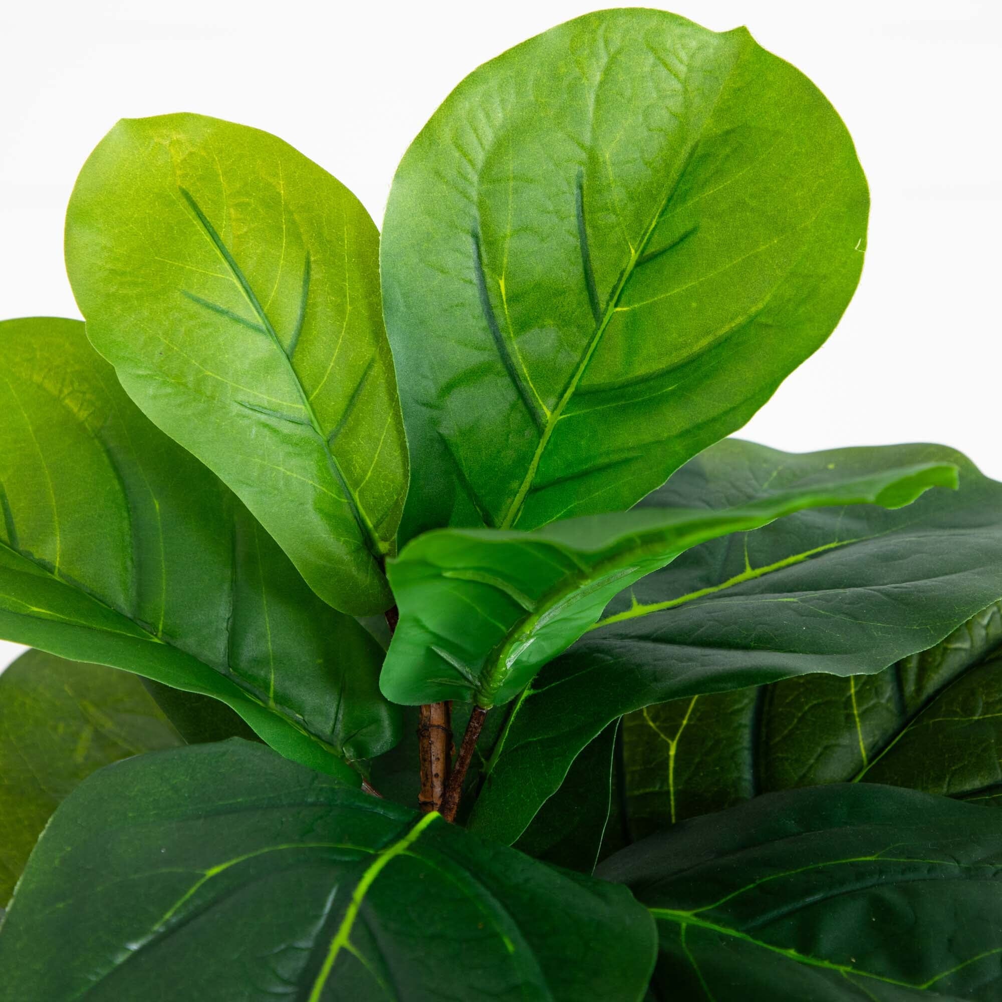 59” Fiddle Leaf Artificial Tree (Real Touch) - Image 2