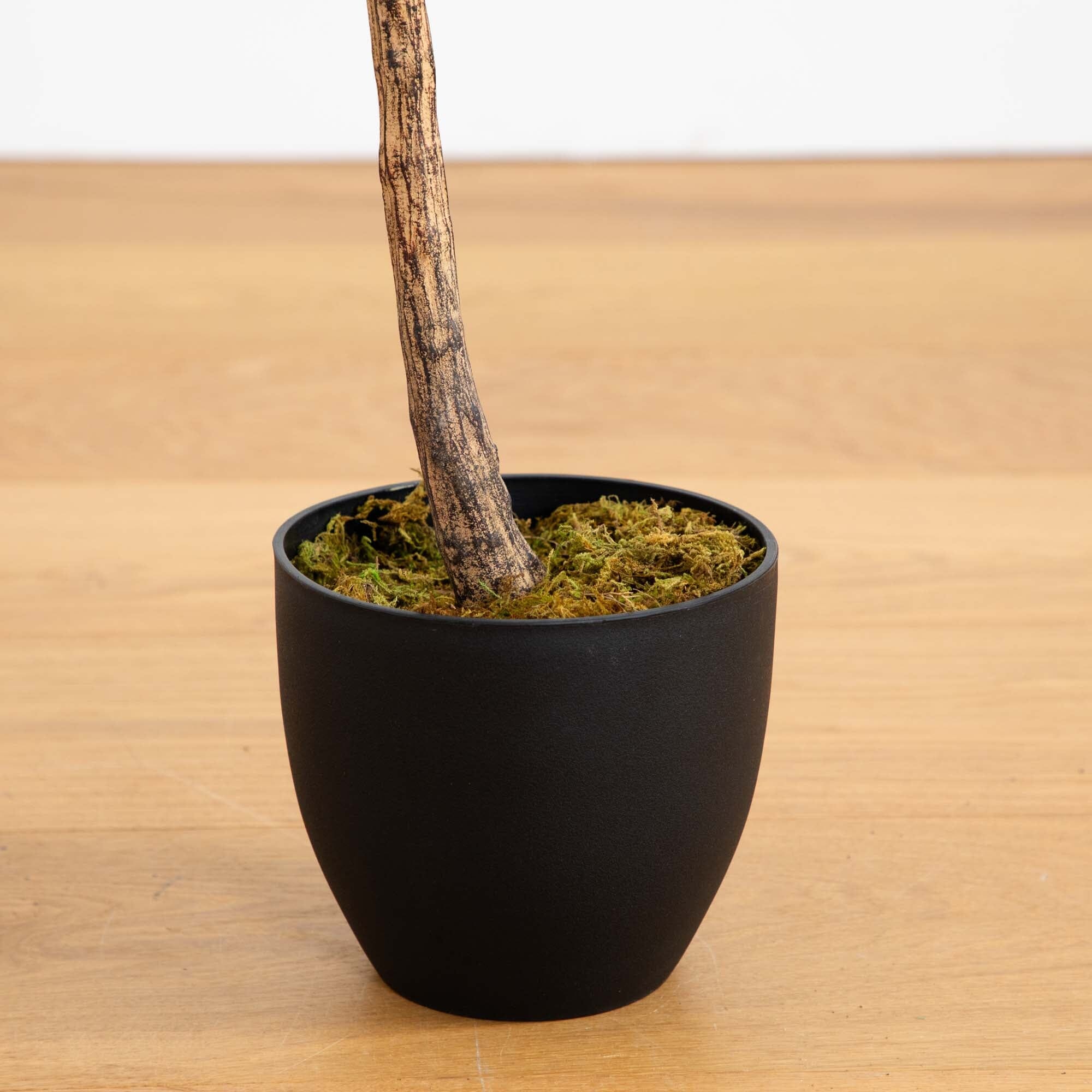 59” Fiddle Leaf Artificial Tree (Real Touch) - Image 3