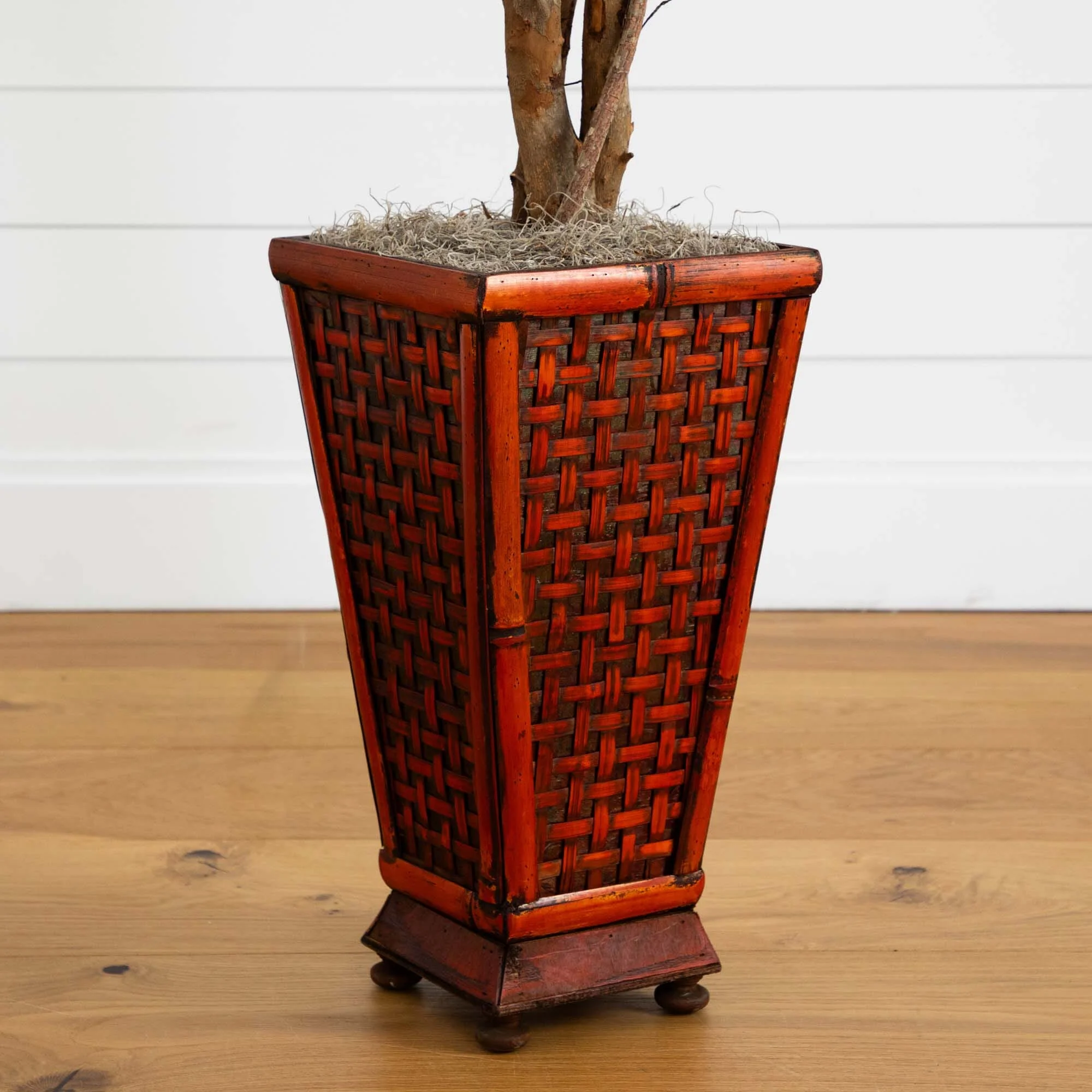 6.5’ Ficus w/Decorative Planter - Image 4
