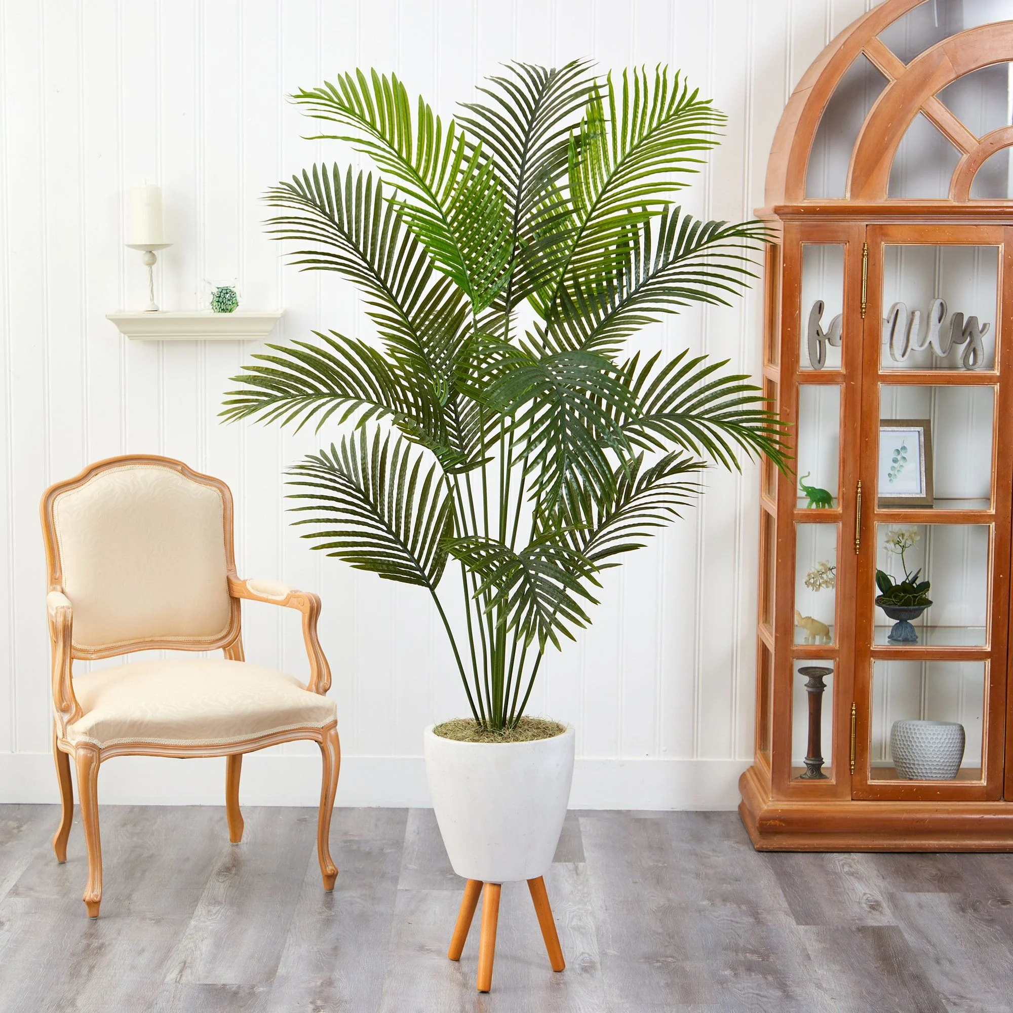 6.5’ Golden Cane Artificial Palm Tree in White Planter with Stand - Image 3