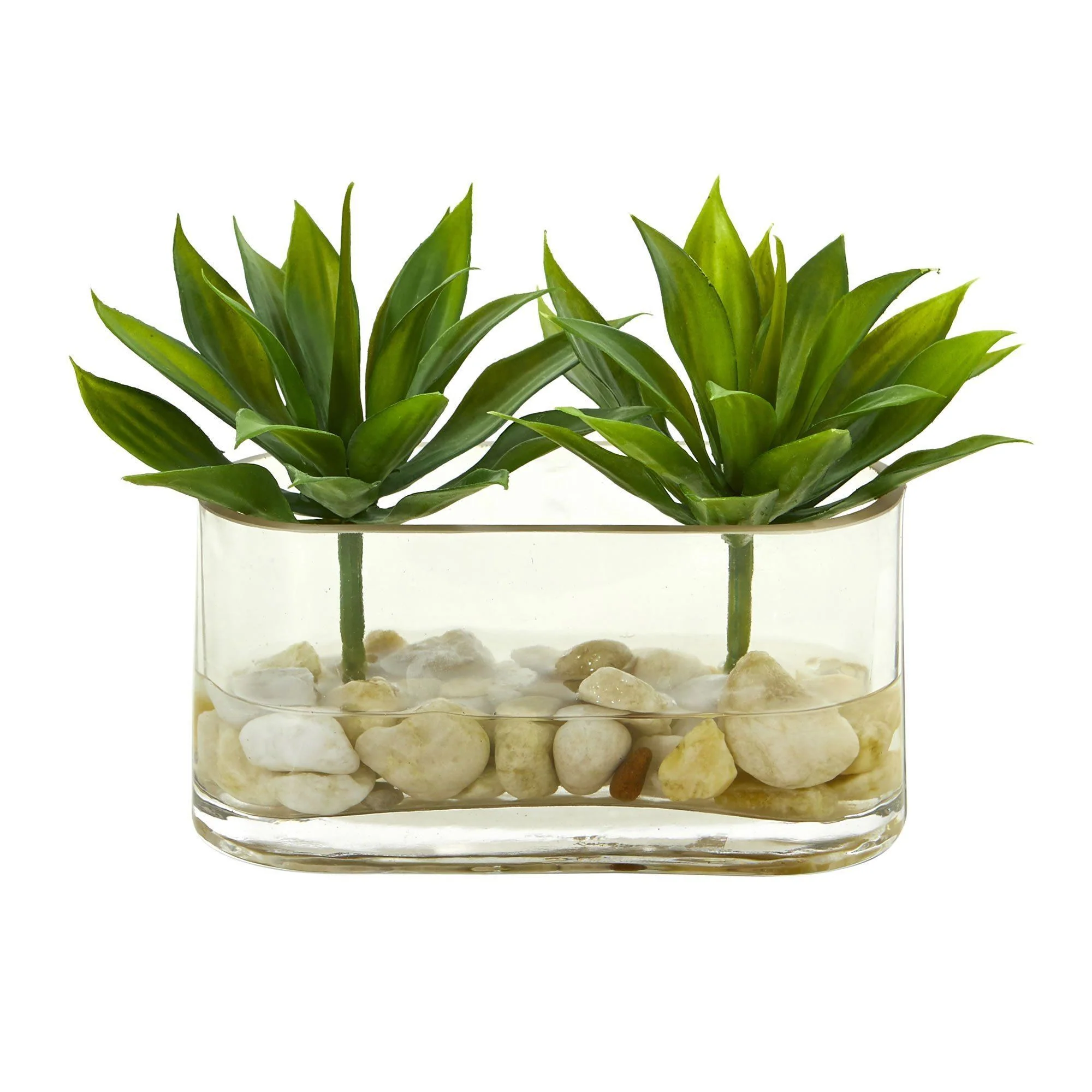 6.5” Mini Agave Succulent Artificial Arrangement in Glass Vase - Image 4