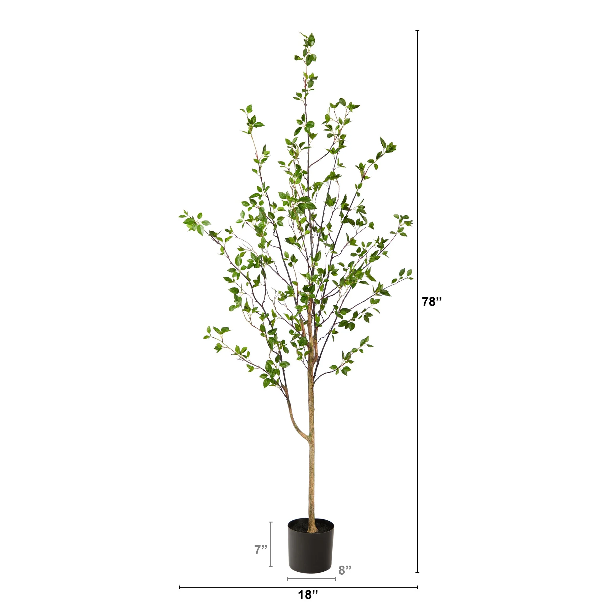 6.5' Minimalist Citrus Tree - Image 4