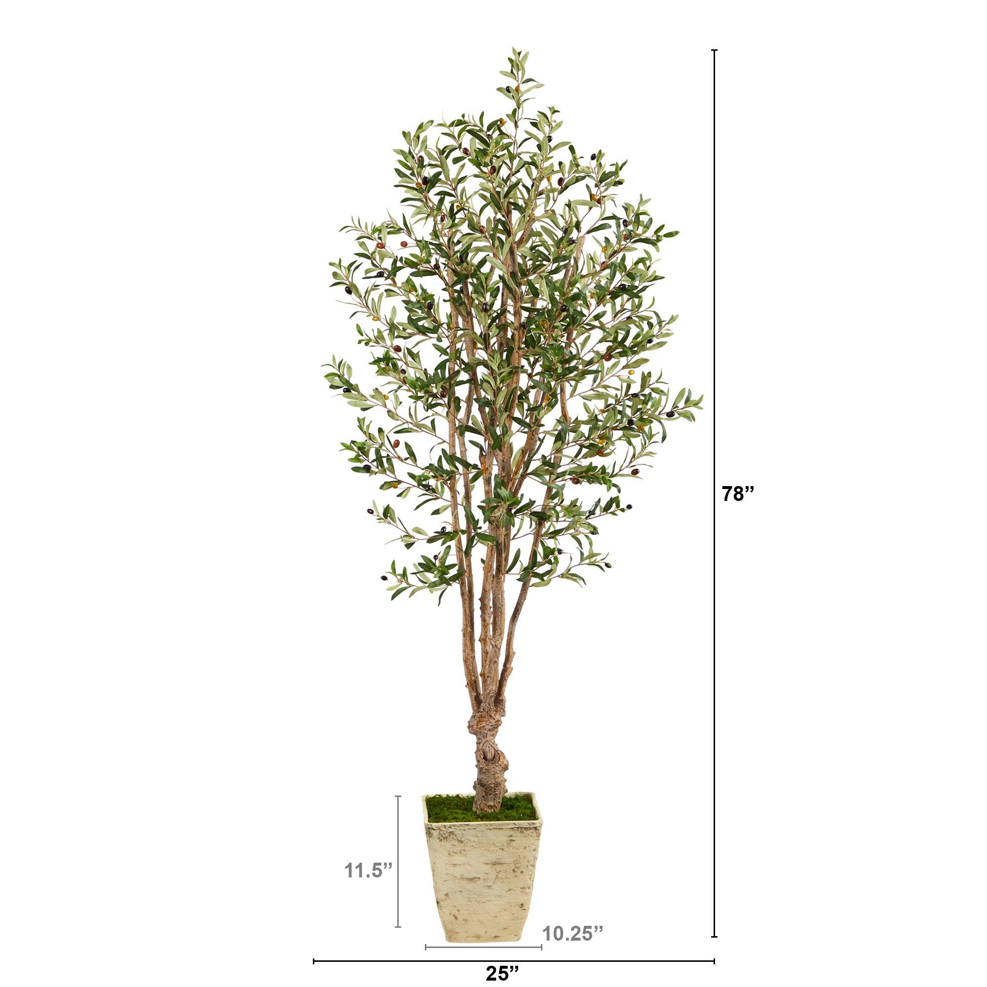 6.5’ Olive Artificial Tree in Country White Planter - Image 2