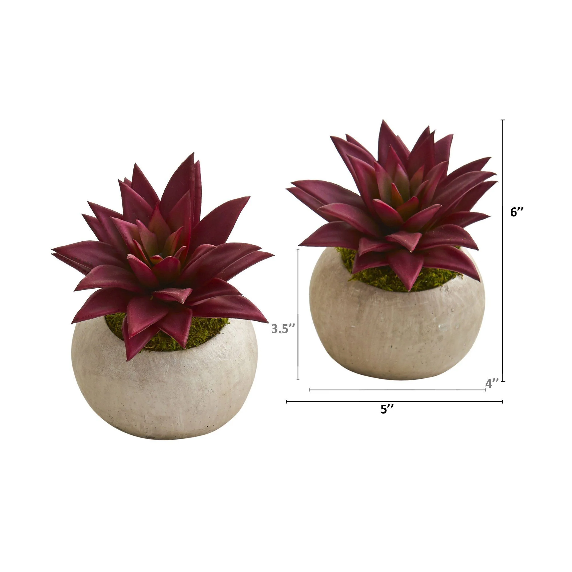 6” Agave Succulent Artificial Plant in Planter (Set of 2) - Image 2