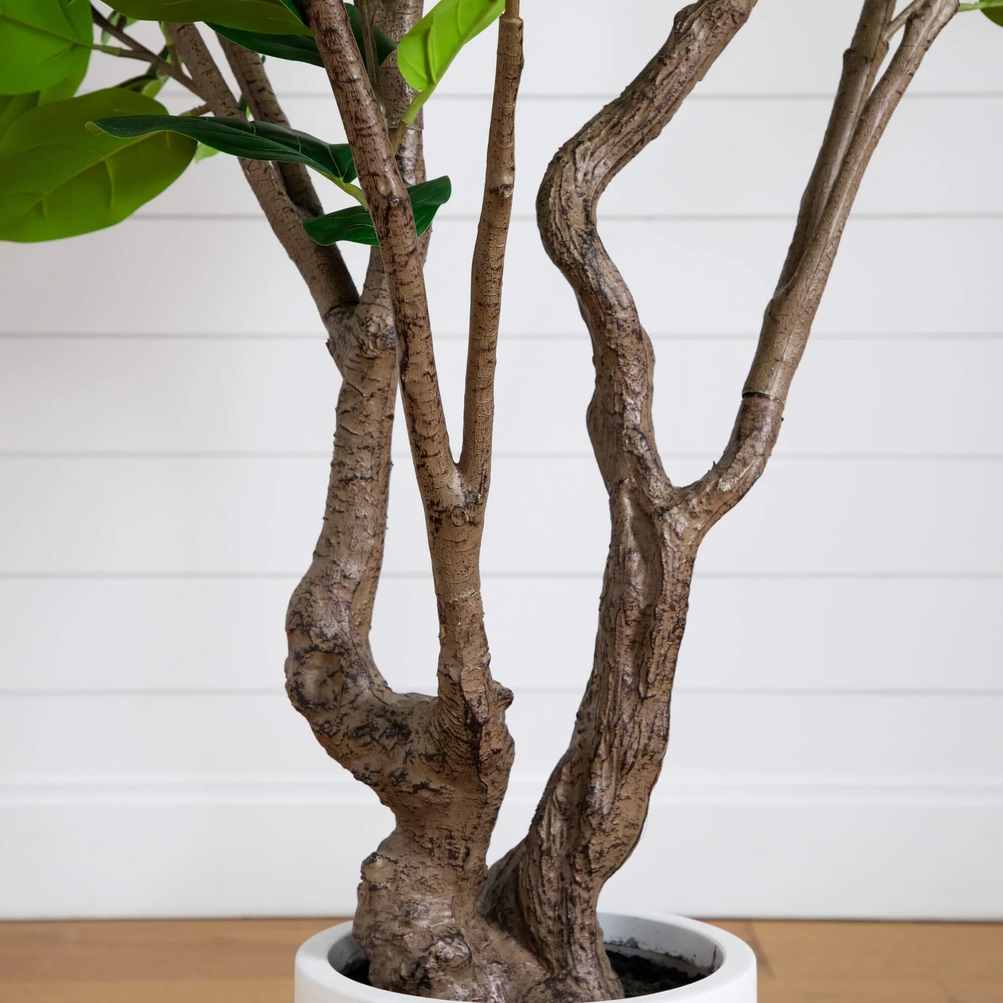 6’ Artificial Grand Audrey Ficus Leaf Tree in White Decorative Planter - Image 4