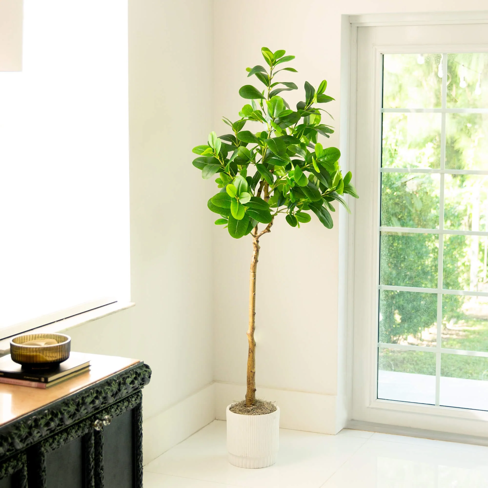6’ Artificial Audrey Ficus Tree - Image 3