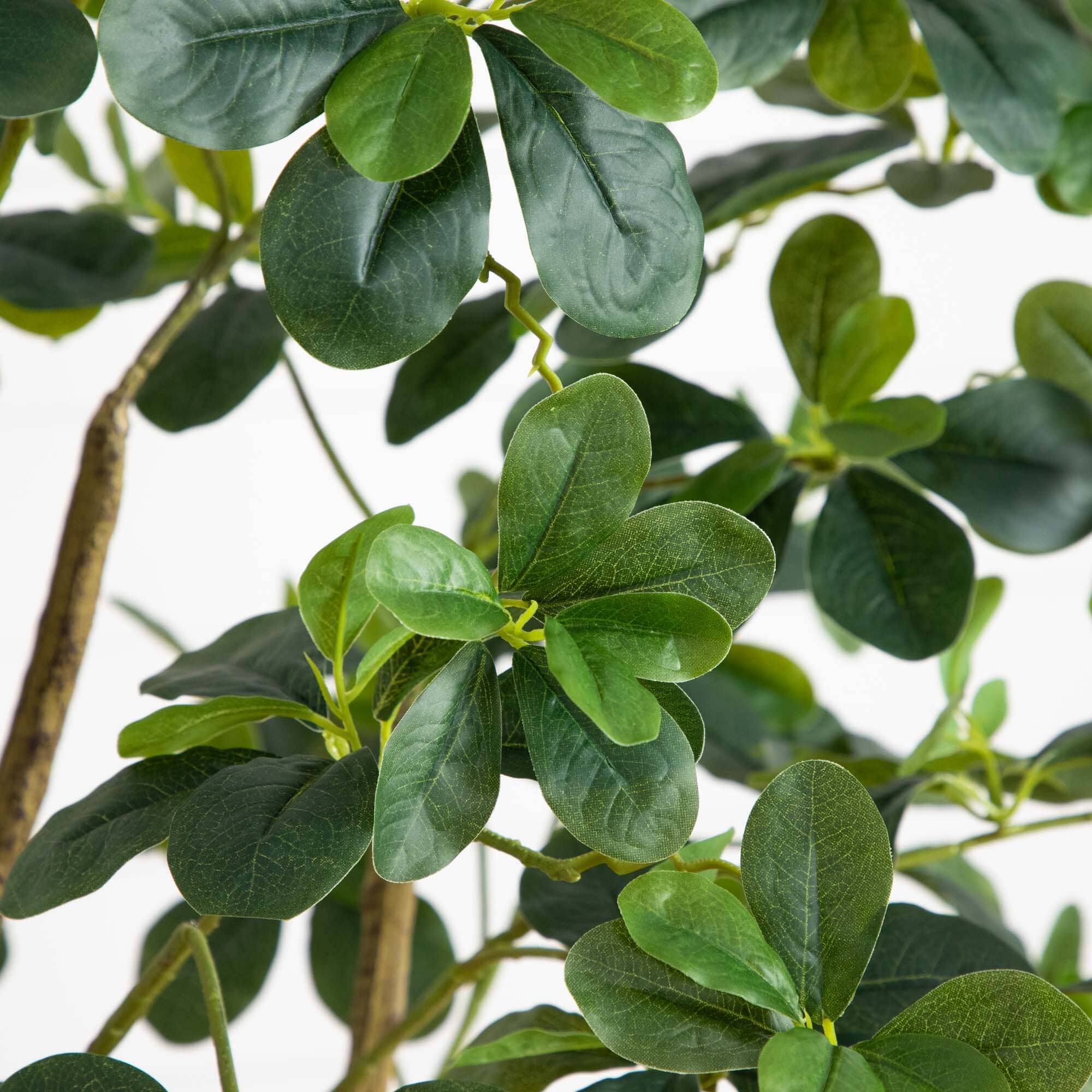 6’ Artificial Black Olive Tree - Image 2