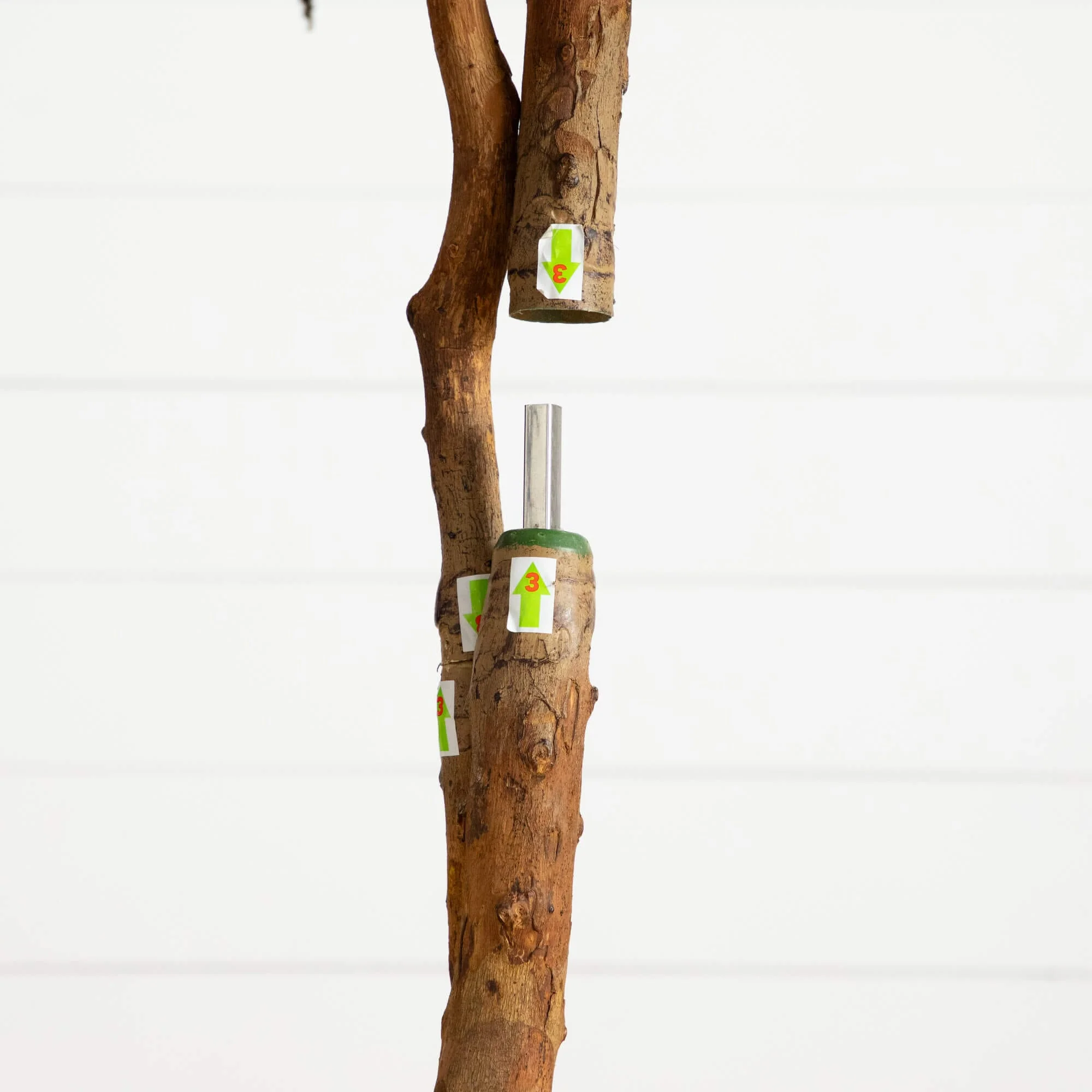 6' Artificial Halloween Black Willow Tree - Image 4