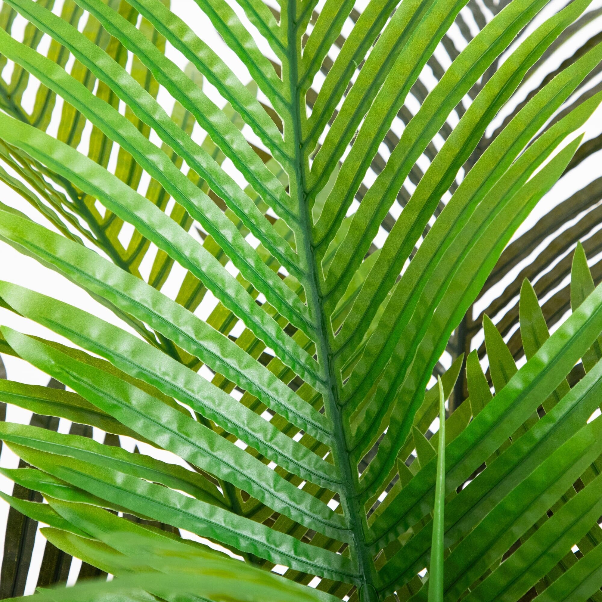 6’ Artificial Coconut Palm Tree - Image 2