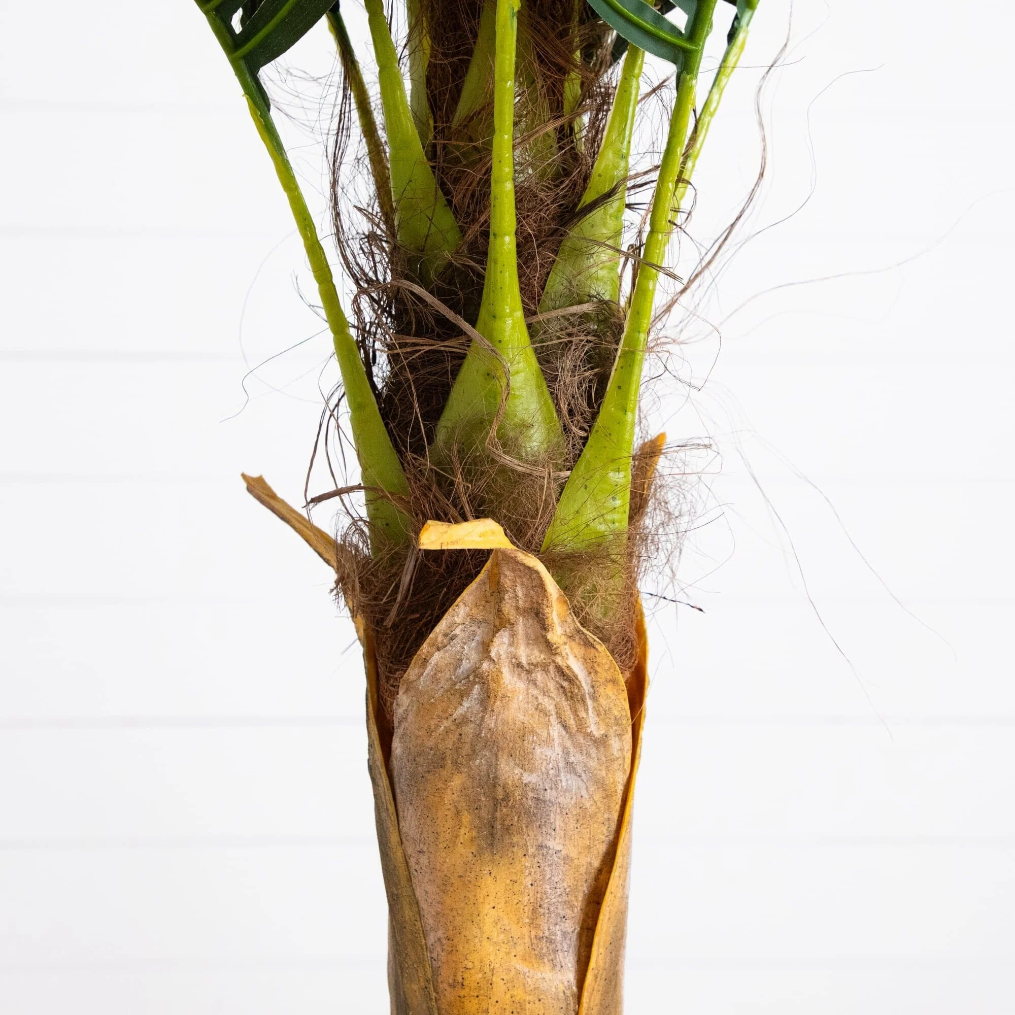 6’ Artificial Coconut Palm Tree - Image 4