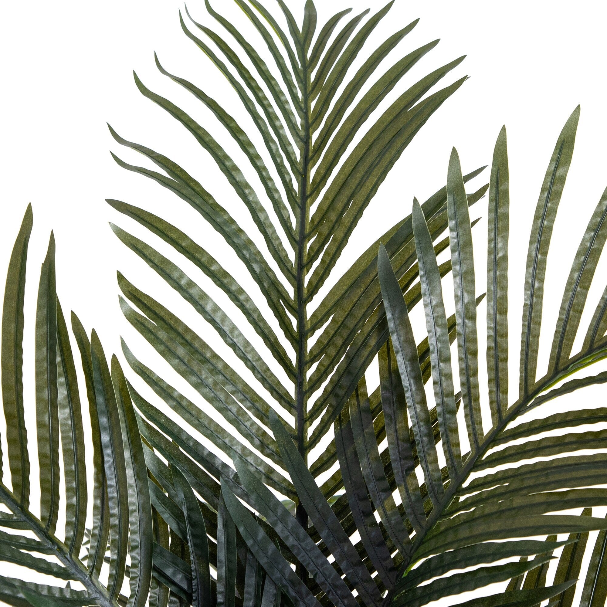6’ Artificial Double Stalk Golden Cane Palm Tree - Image 2