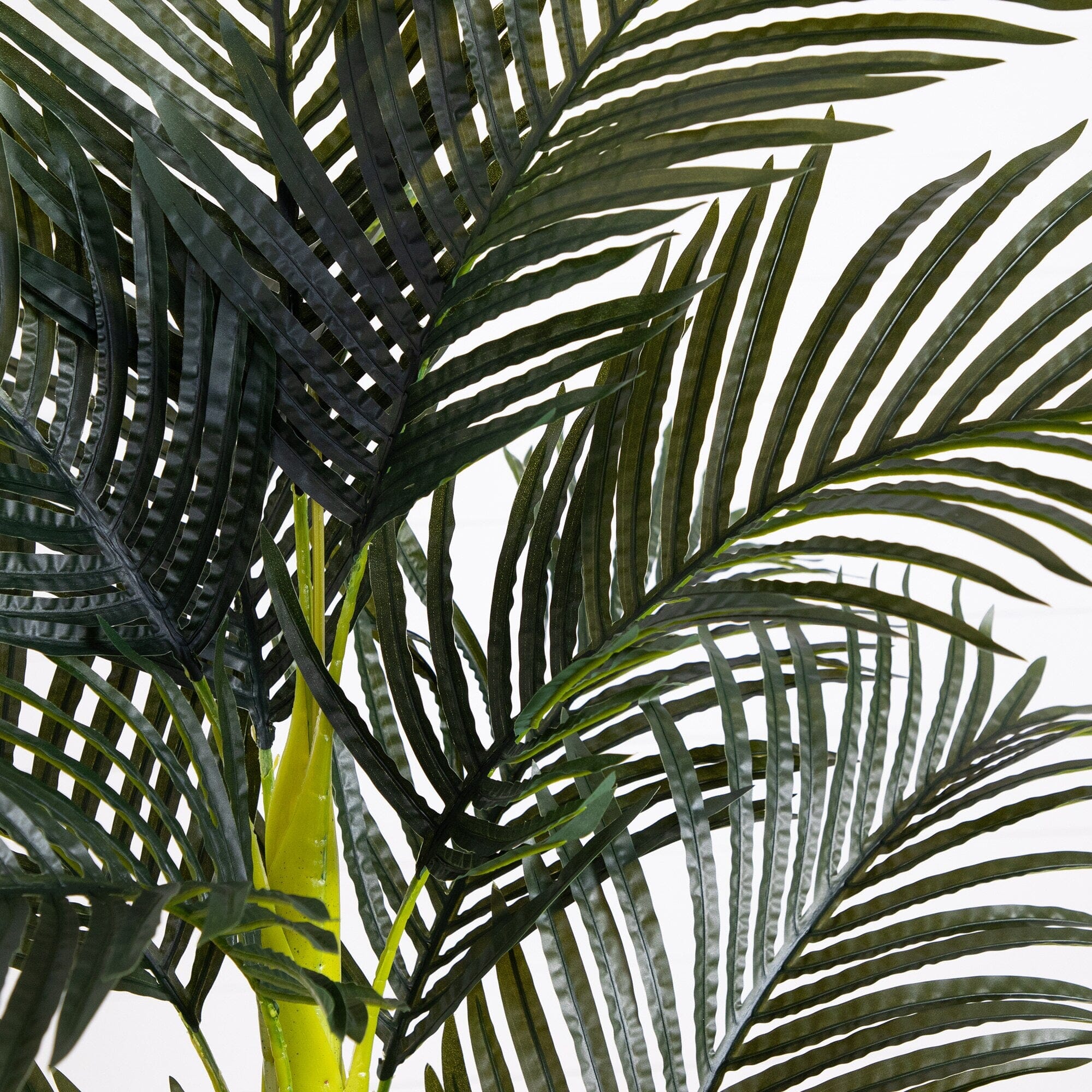 6’ Artificial Double Stalk Golden Cane Palm Tree - Image 4