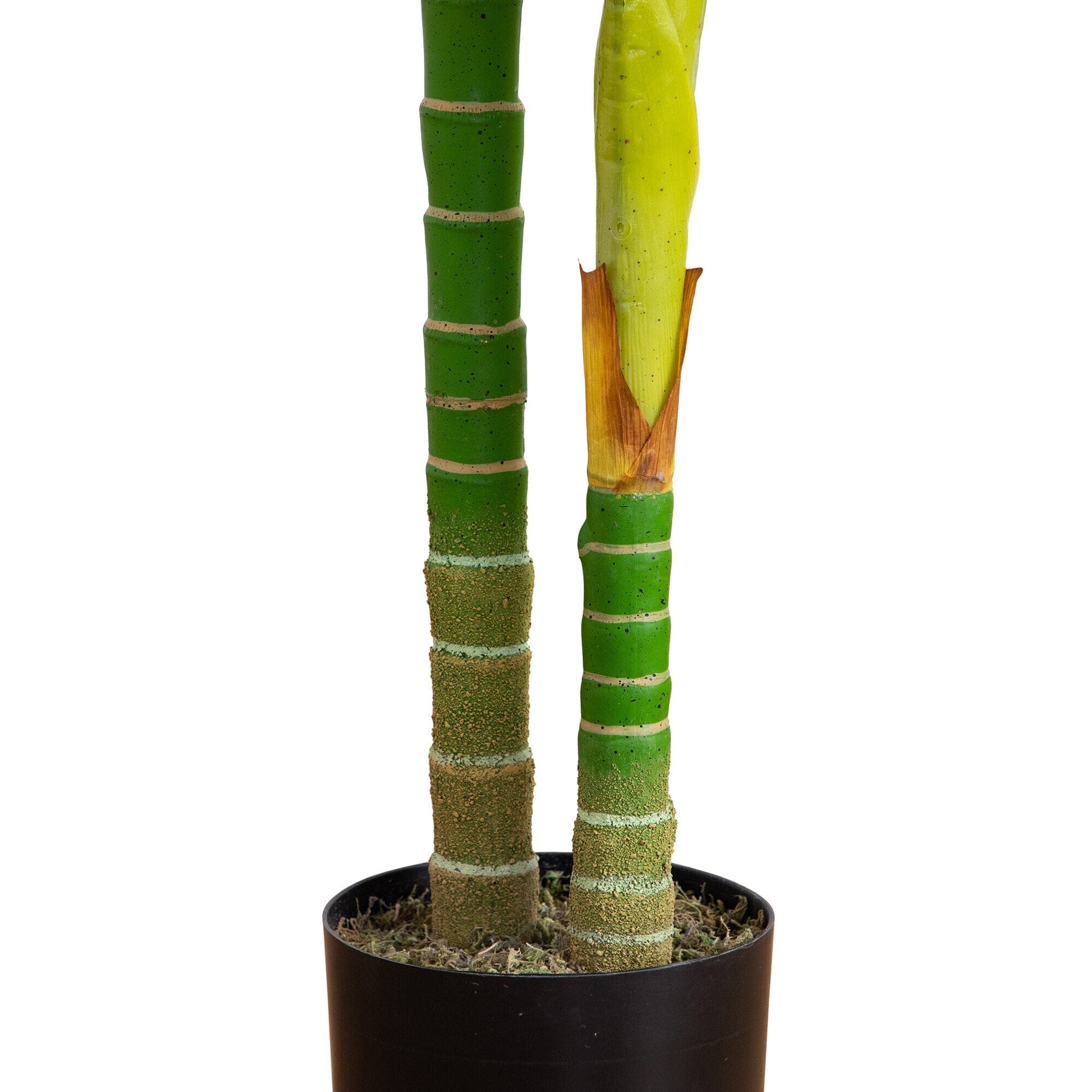 6’ Artificial Double Stalk Golden Cane Palm Tree - Image 5