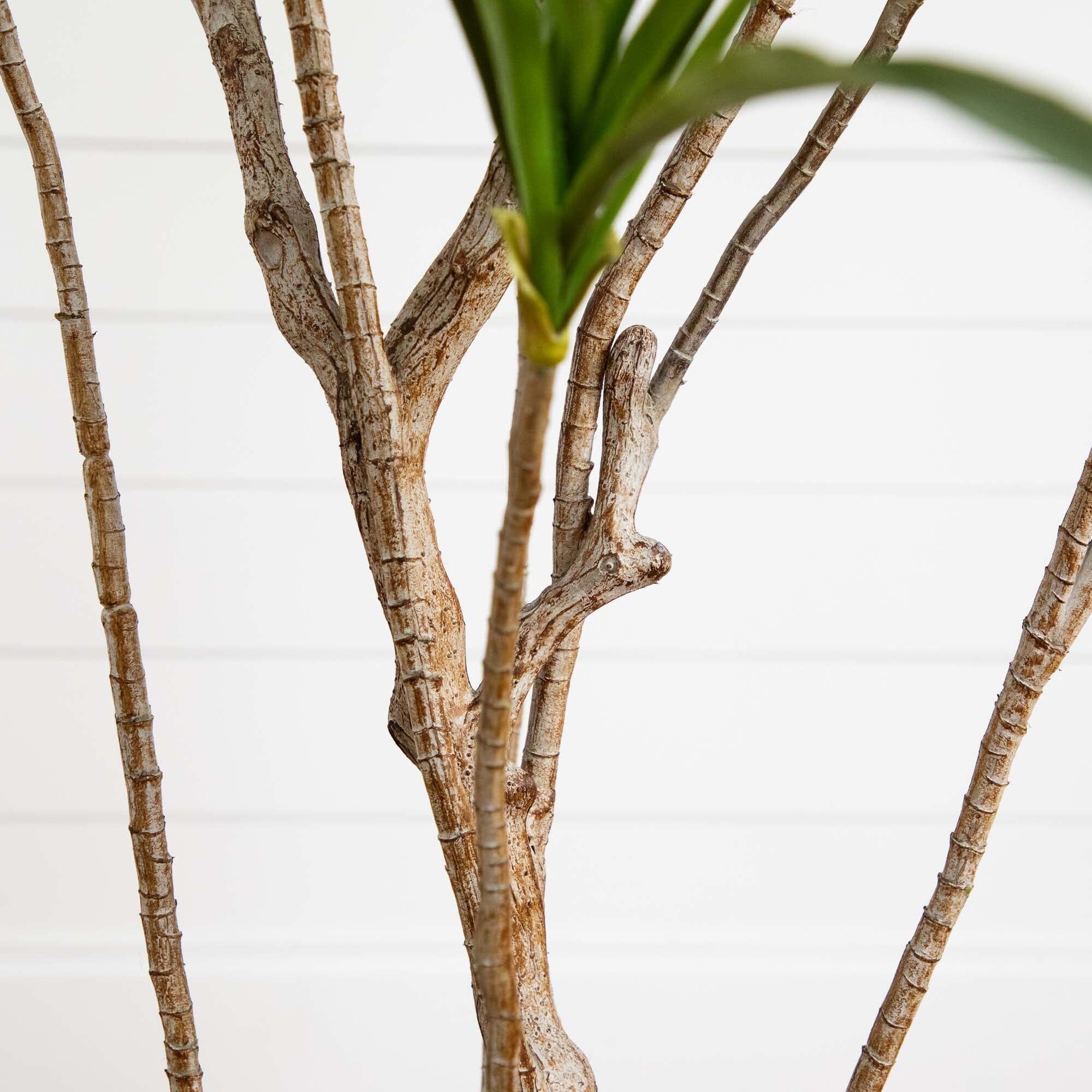 6’ Artificial Dracaena Tree - Image 5