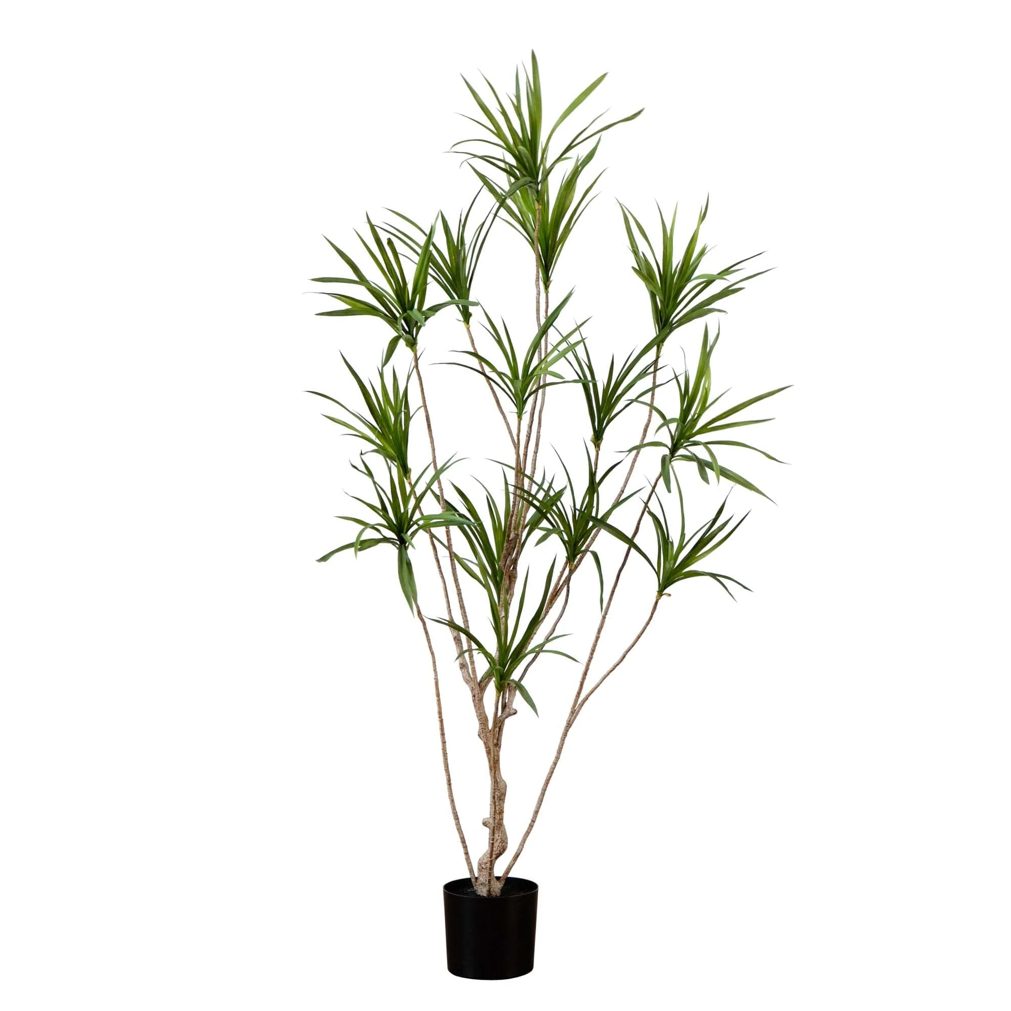 6’ Artificial Dracaena Tree - Image 8