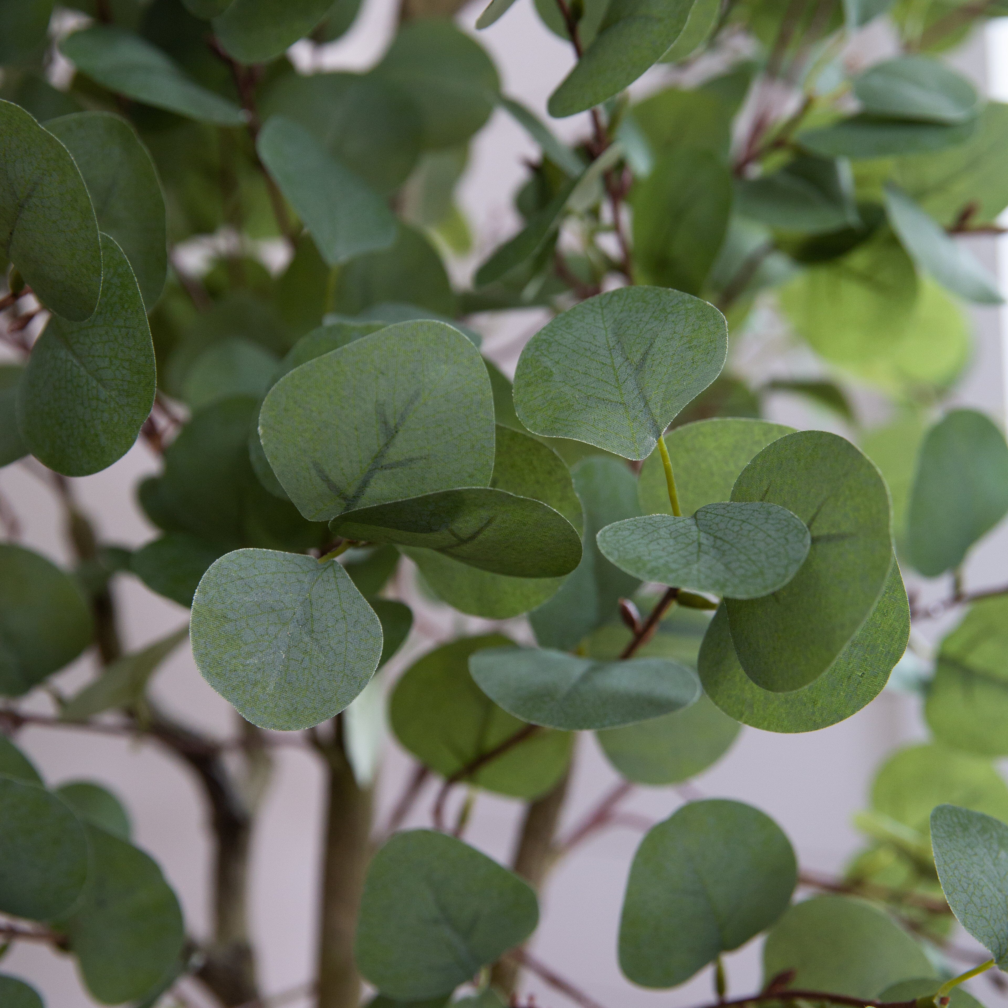 6’ Artificial Eucalyptus Tree with White Decorative Planter - Image 2