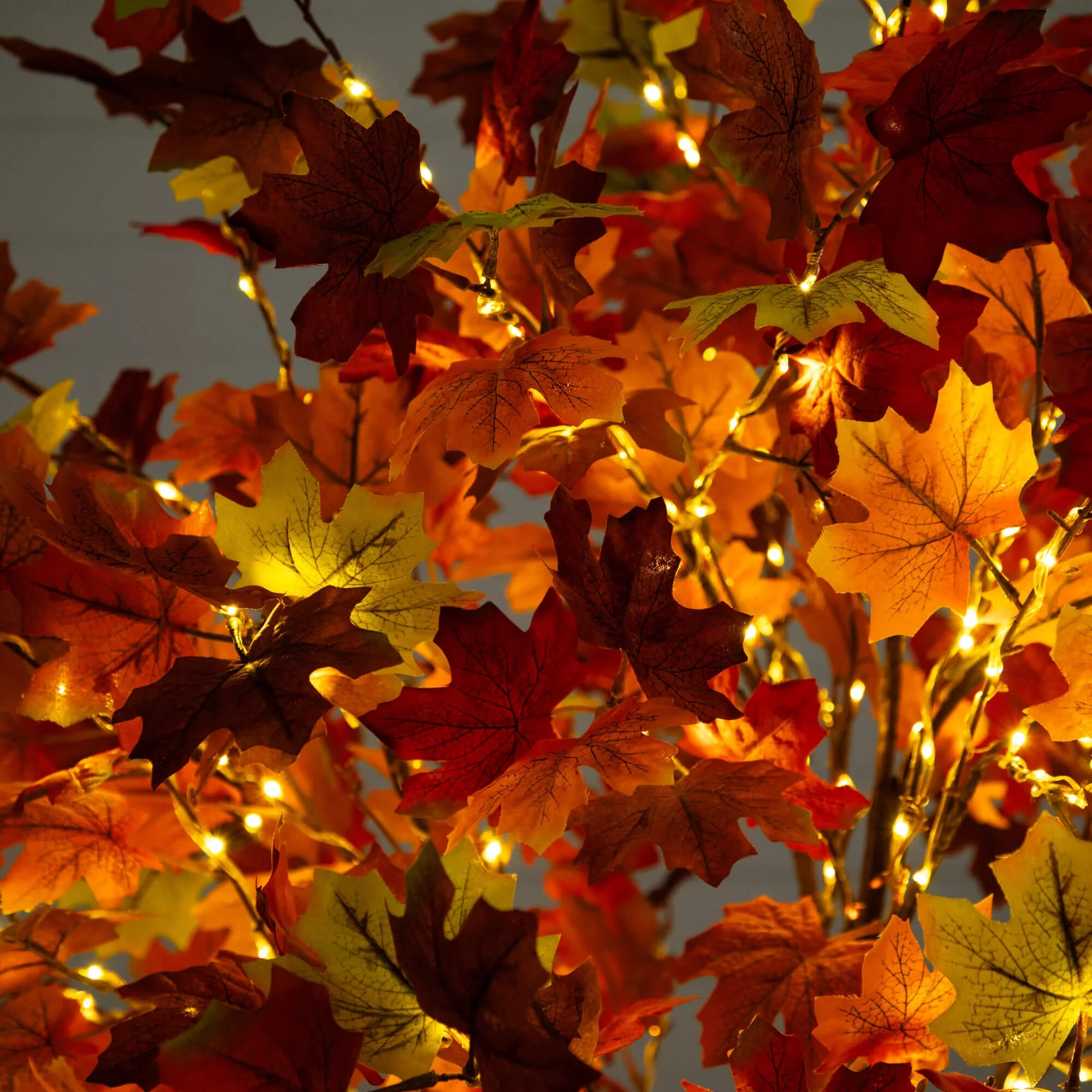 6' Pre-Lit Shades of Autumn Maple Artificial Fall Tree with 360 Warm White LED Lights - Image 2