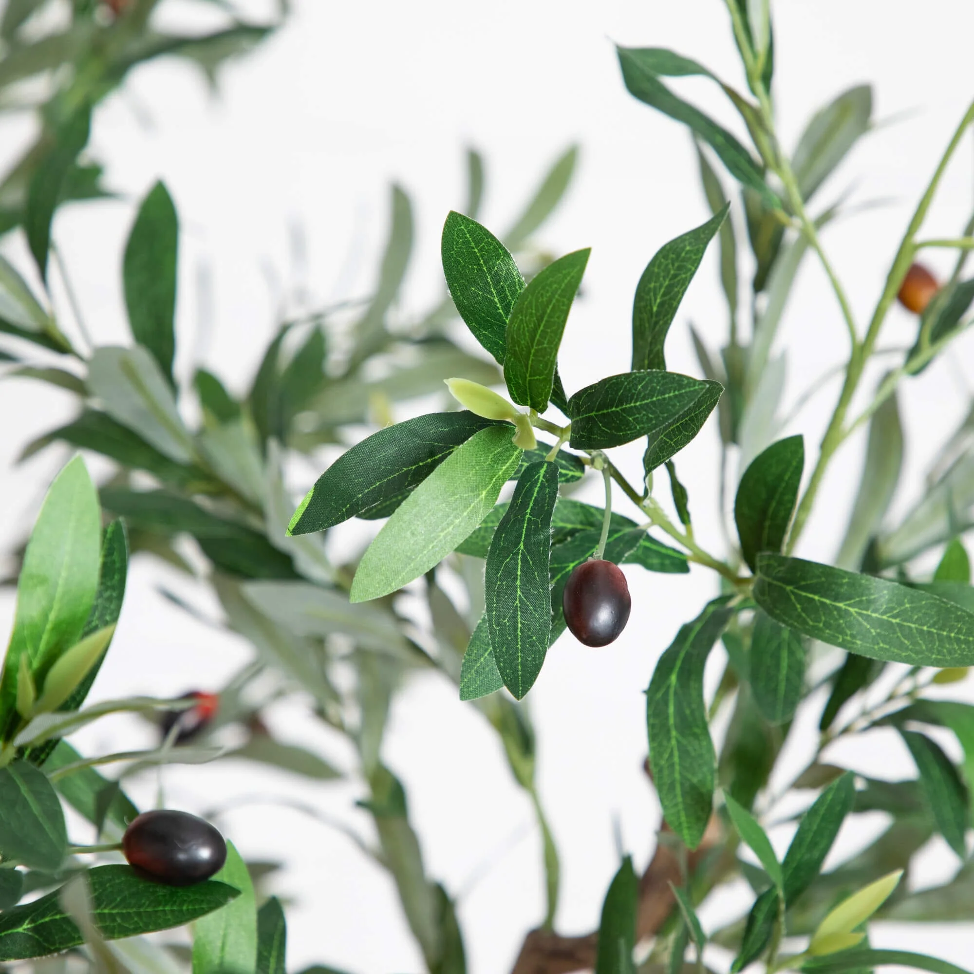 6’ Artificial Grand Olive Tree in White Decorative Planter - Image 2