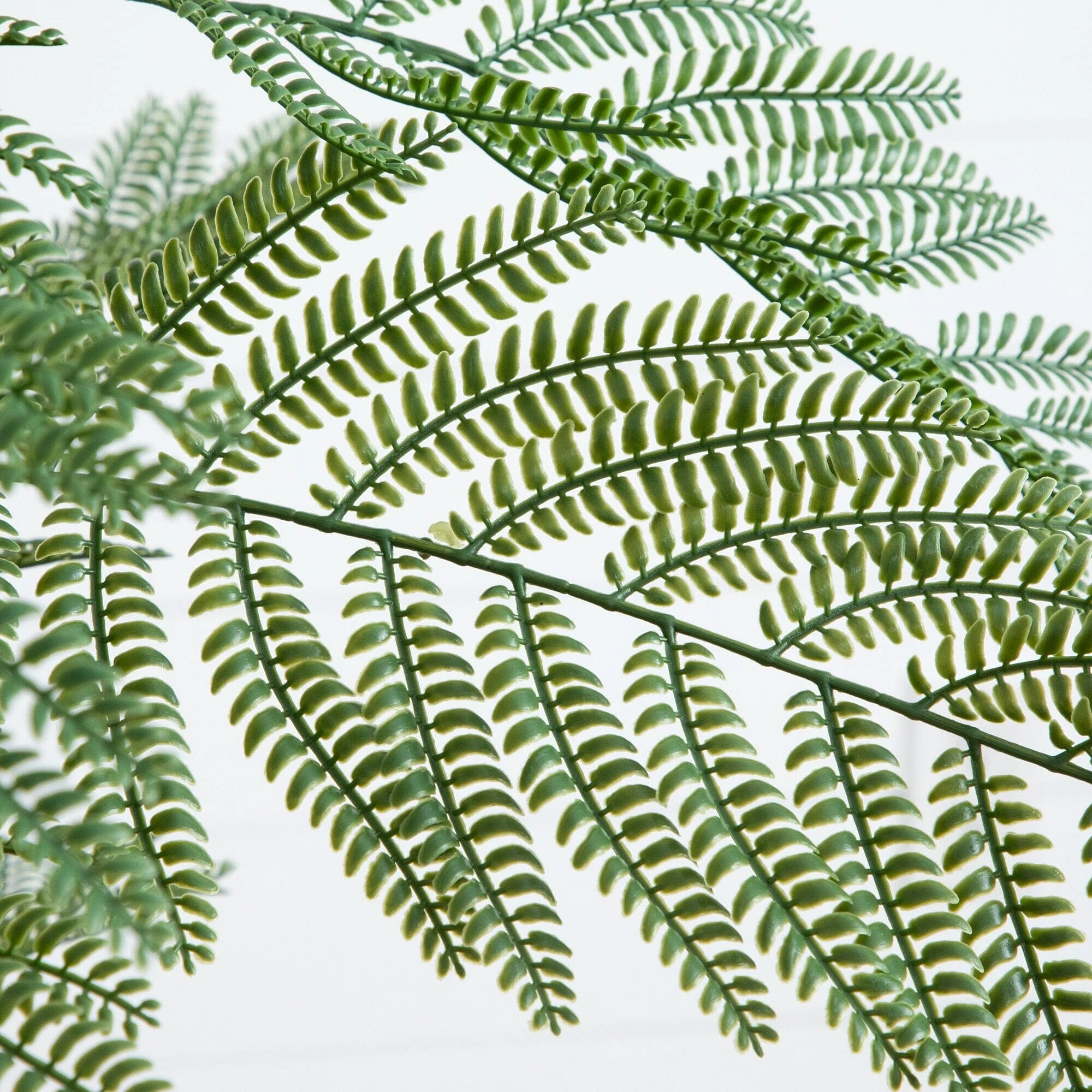 6’ Artificial Jacaranda Tree in White Decorative Planter - Image 5