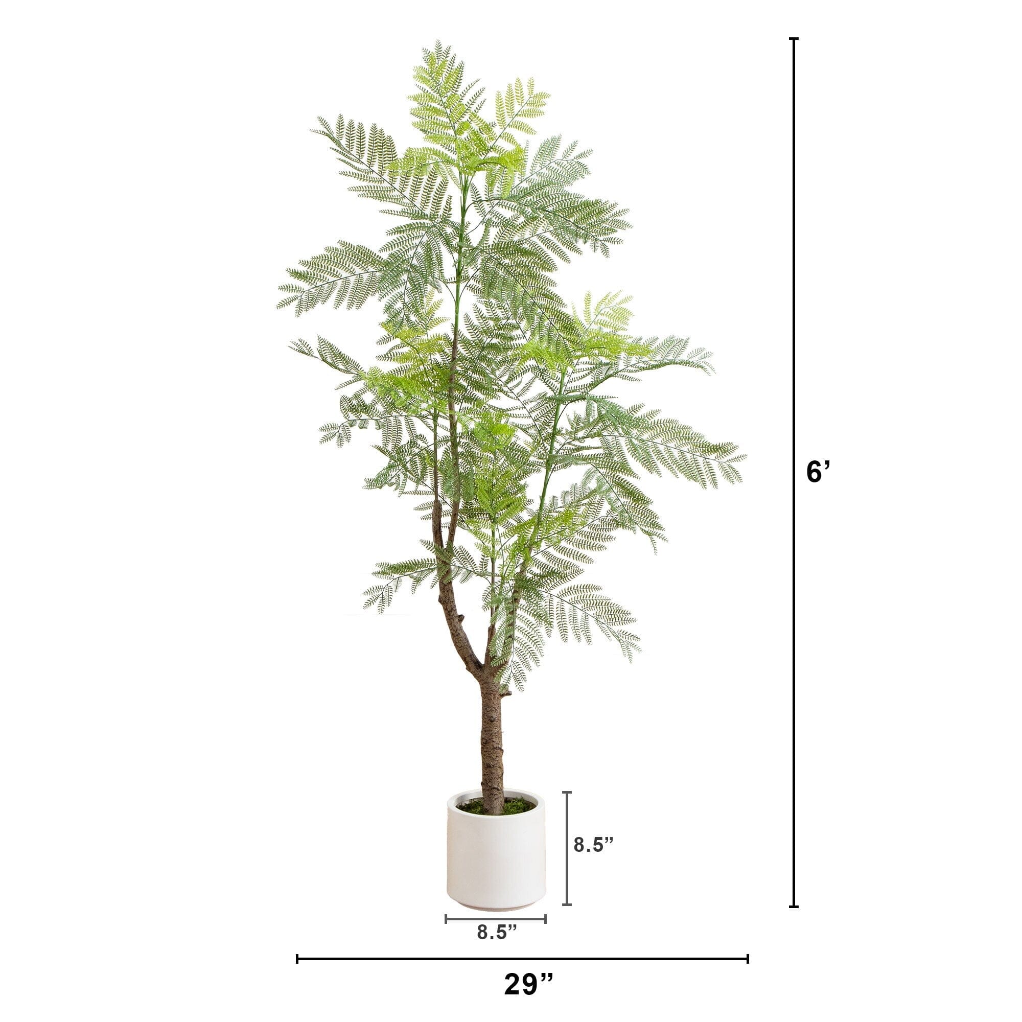 6’ Artificial Jacaranda Tree in White Decorative Planter - Image 6